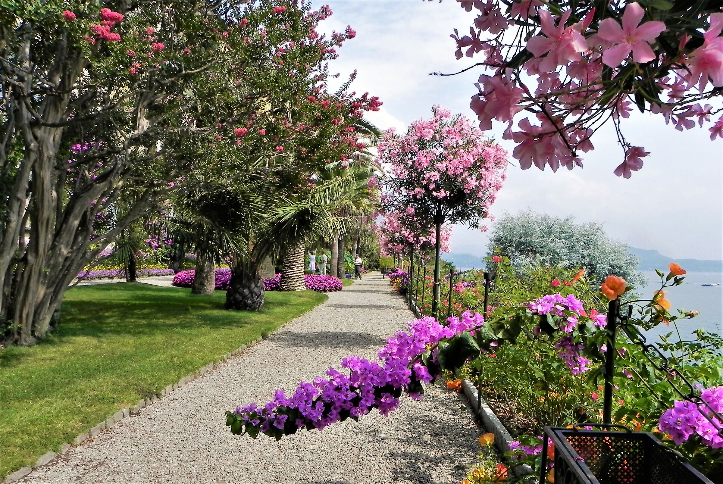 lungo il lago maggiore
