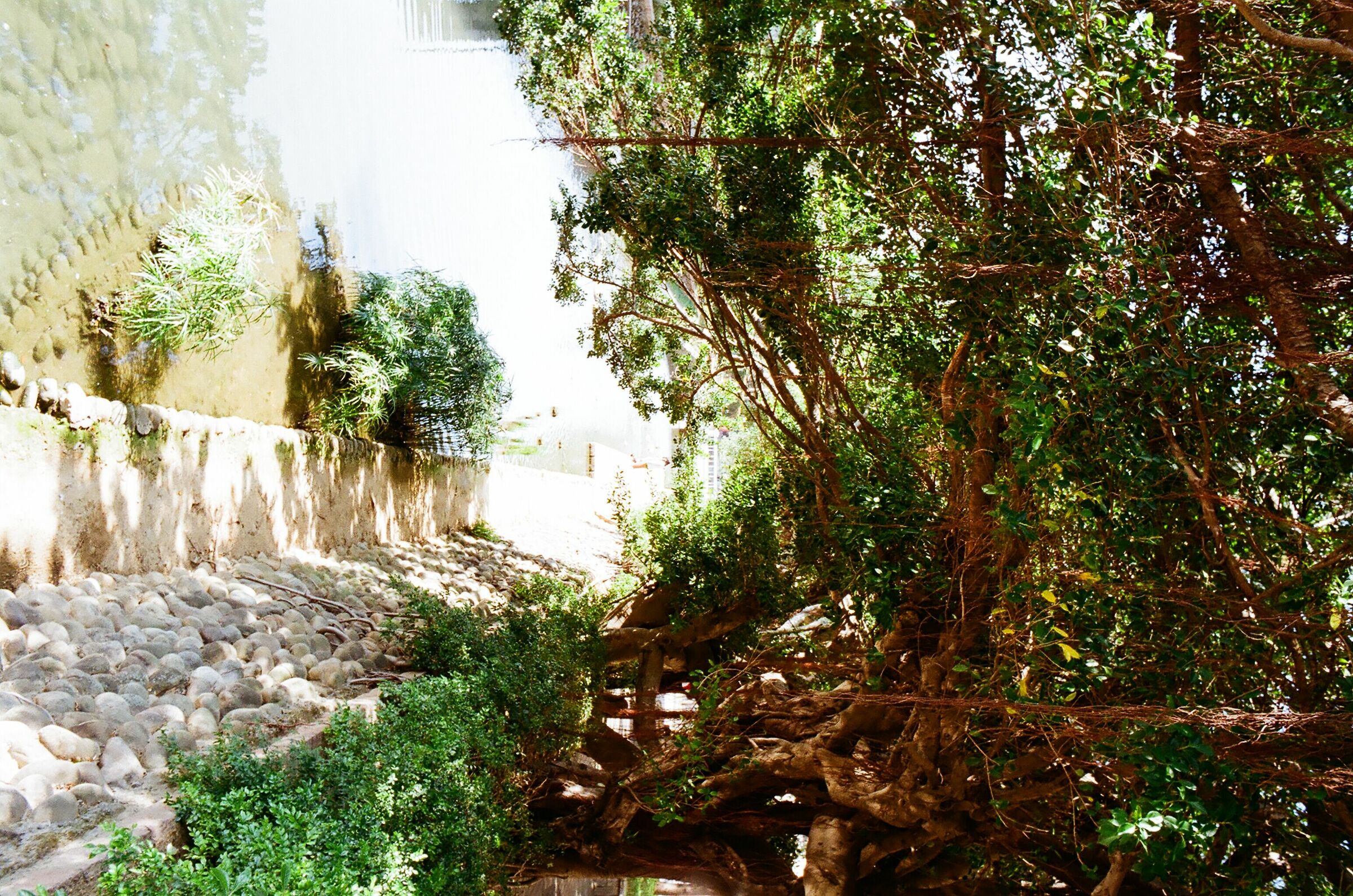 nature and its simplicity