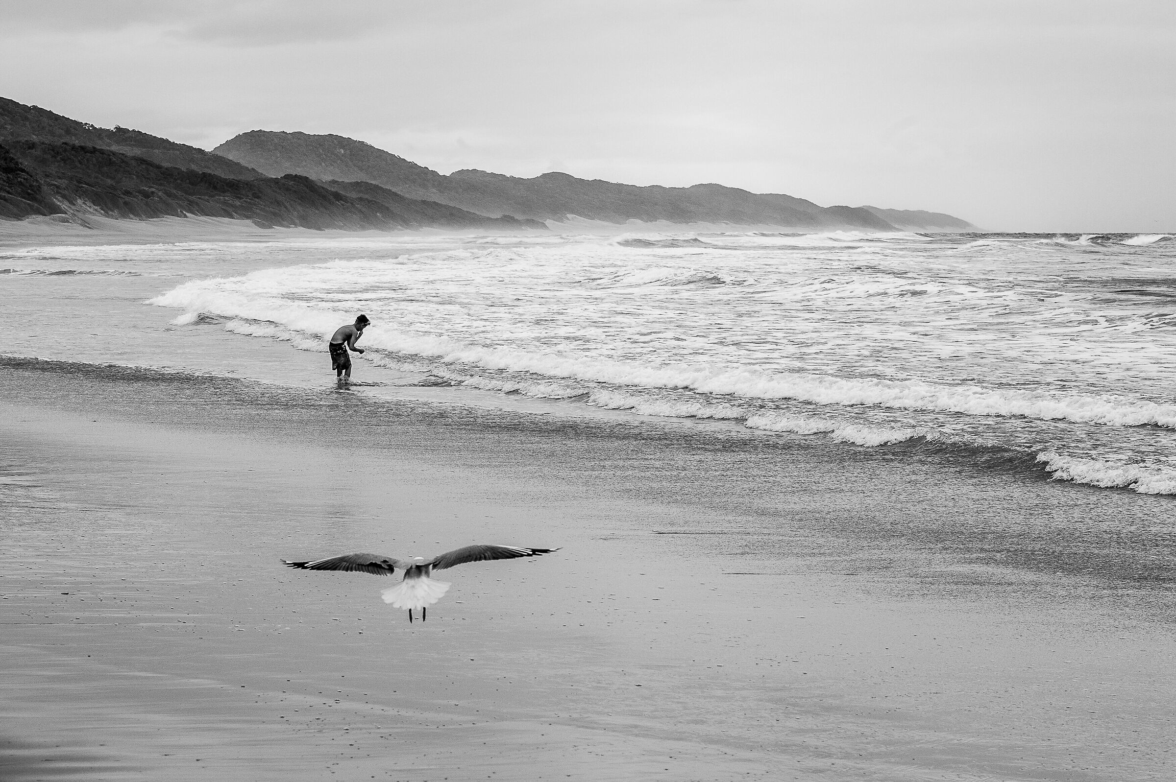 Ti raggiungo in volo