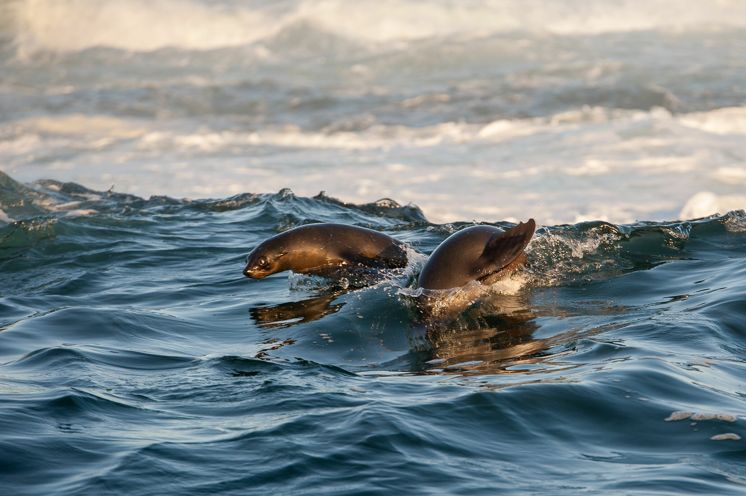 Saltando tra le onde