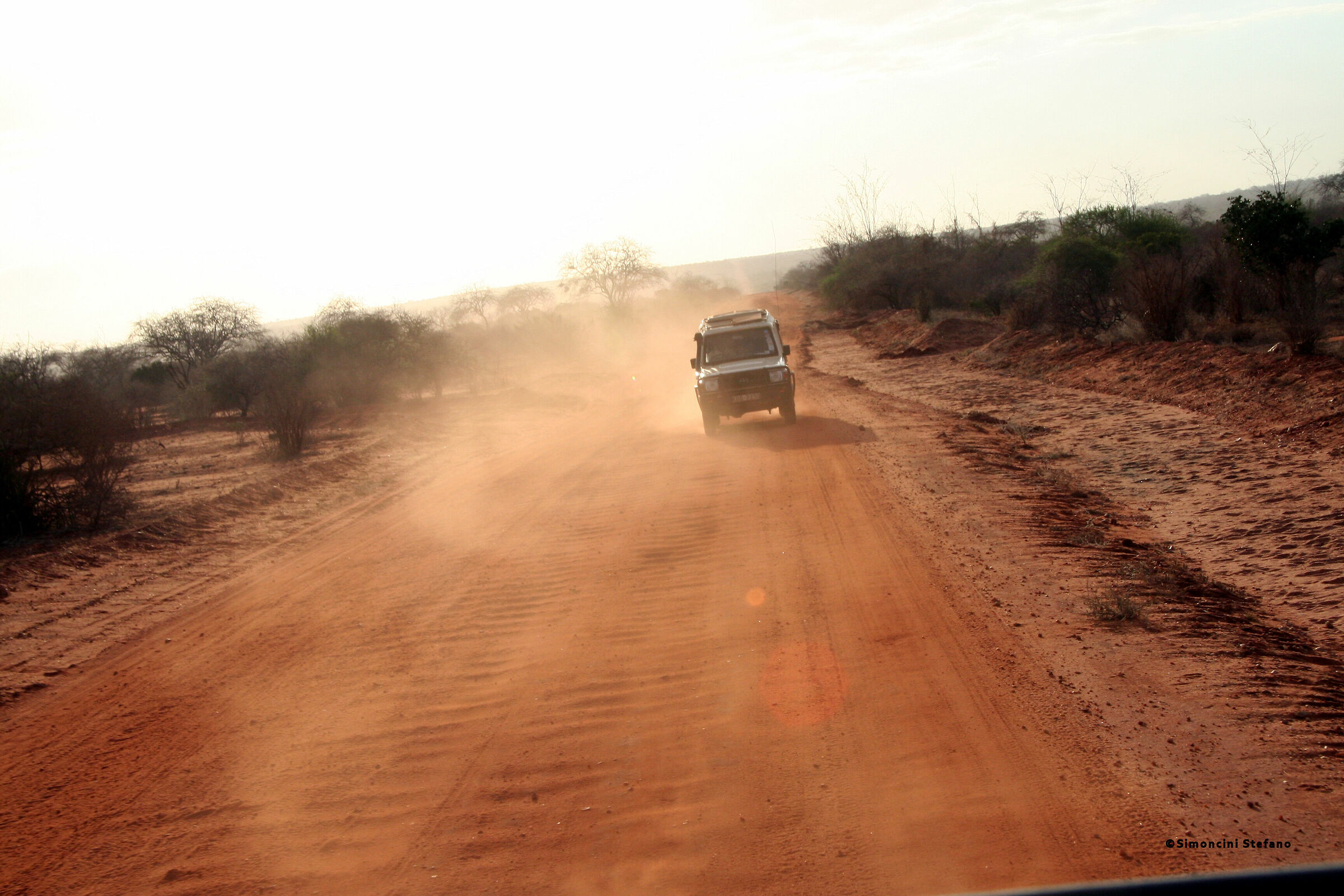 Savanna run (Tsavo East, Kenya)