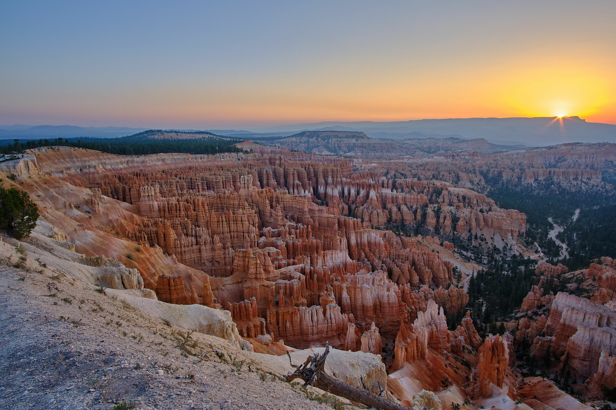 Bryce Canyon all'alba