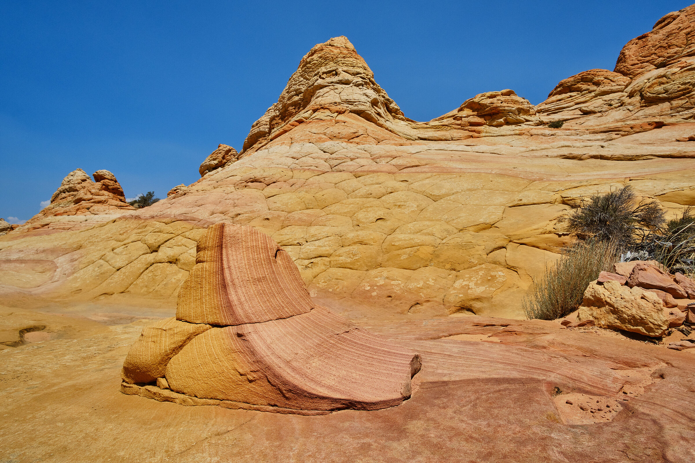 Coyote Buttes South