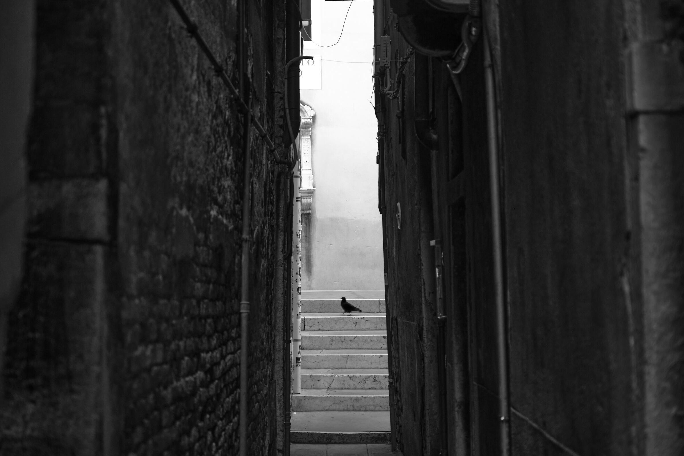 Waiting in the middle - Venice