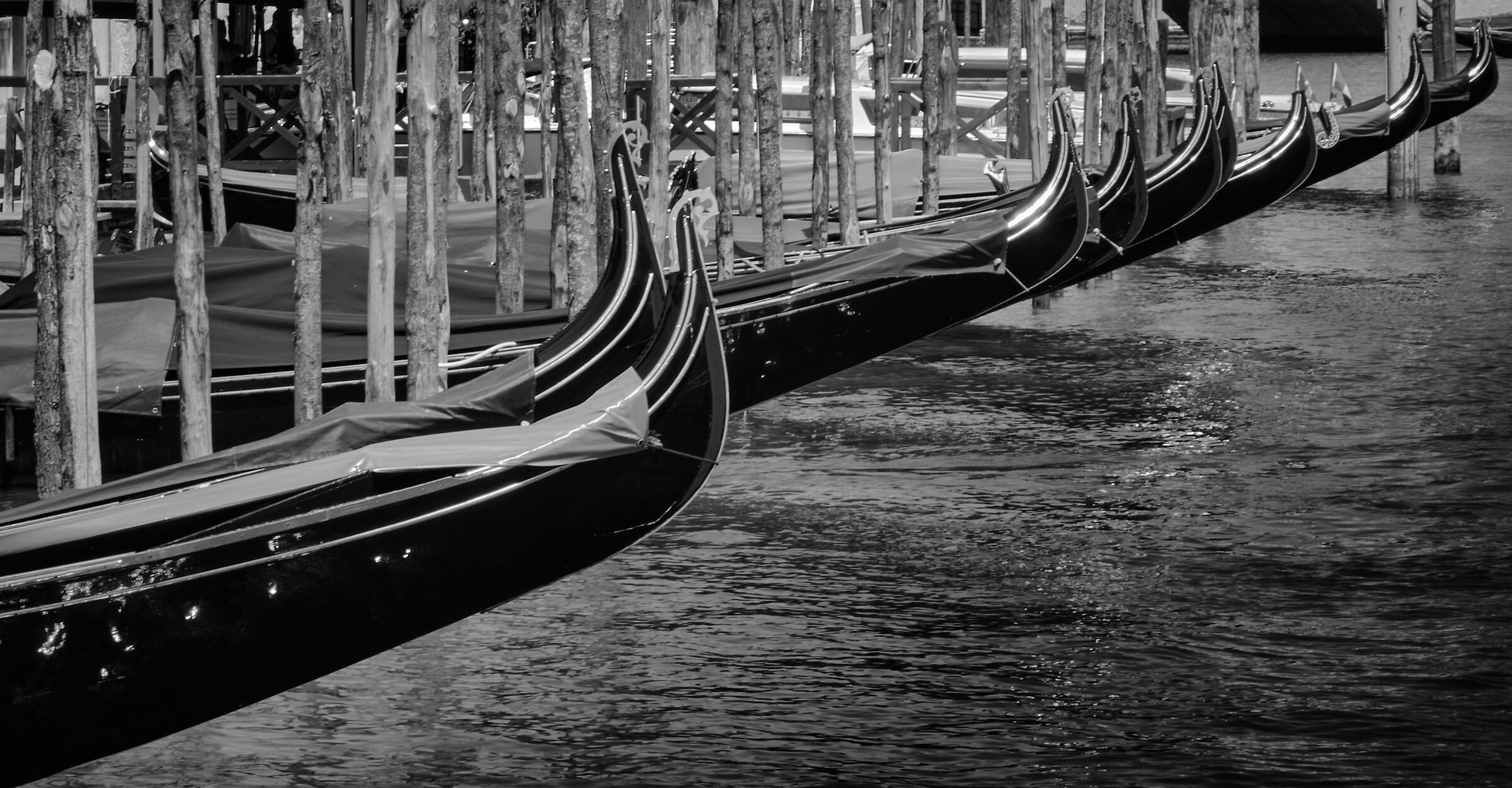 Waiting for turists - Venice