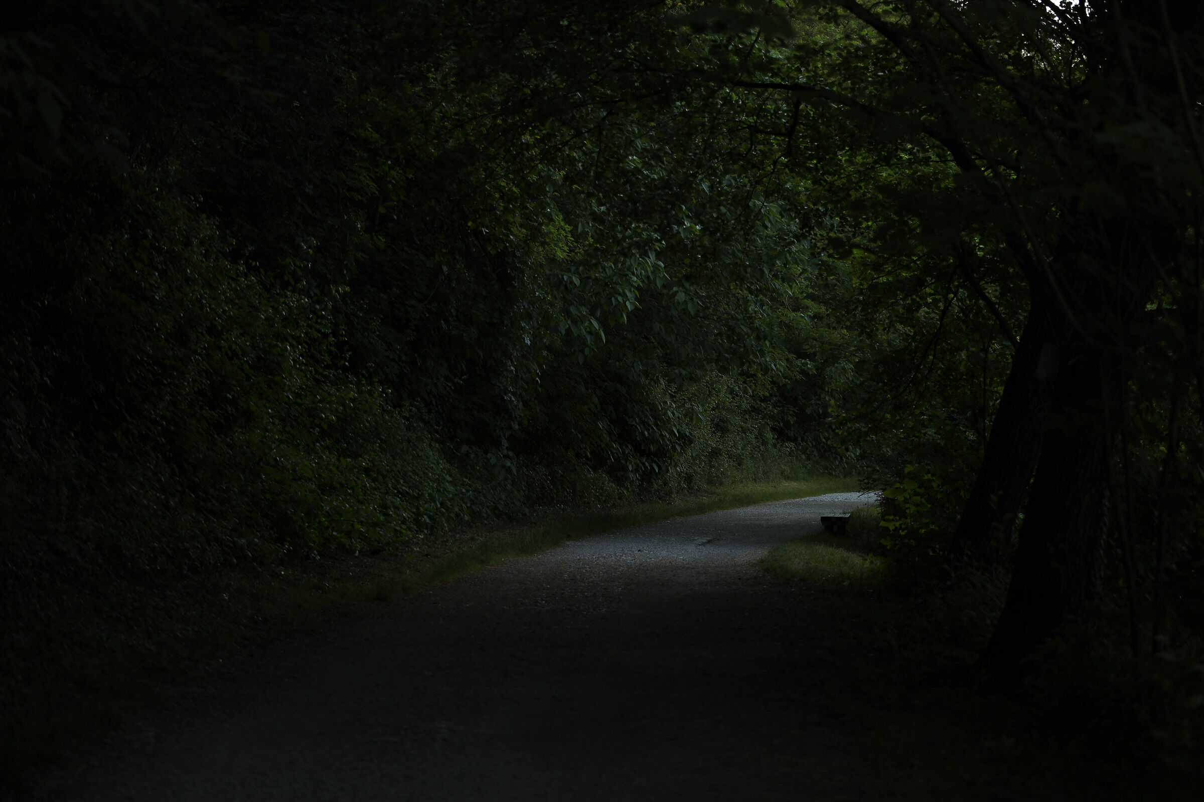 si è fatta una certa...