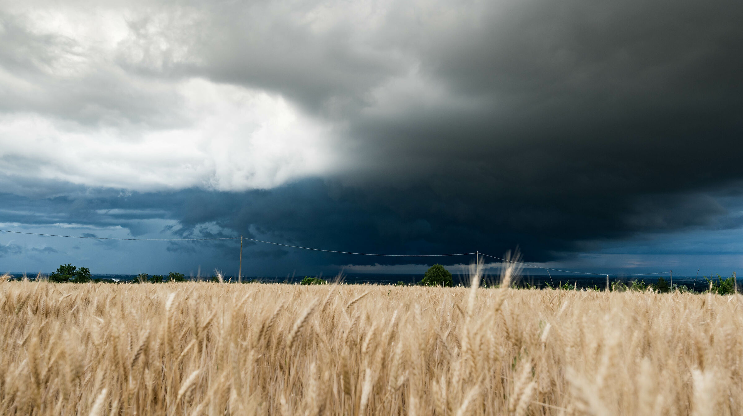Stormy evening