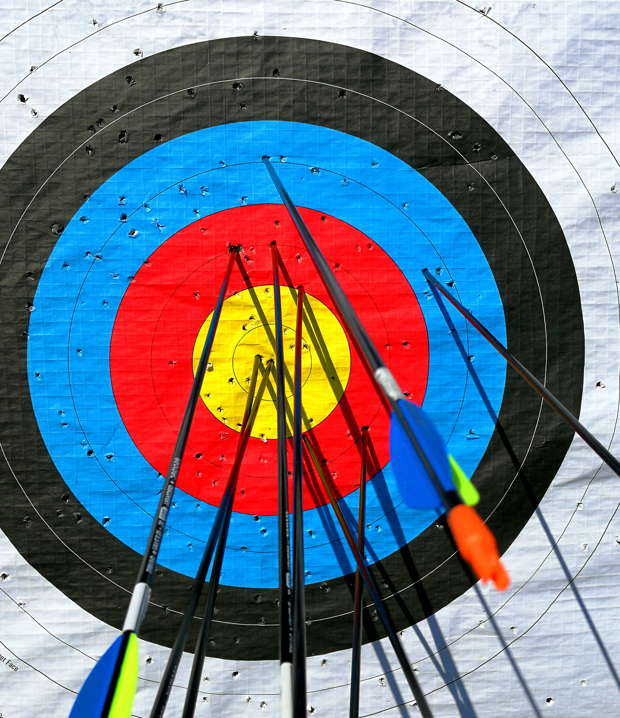 colori di juve inter bologna roma