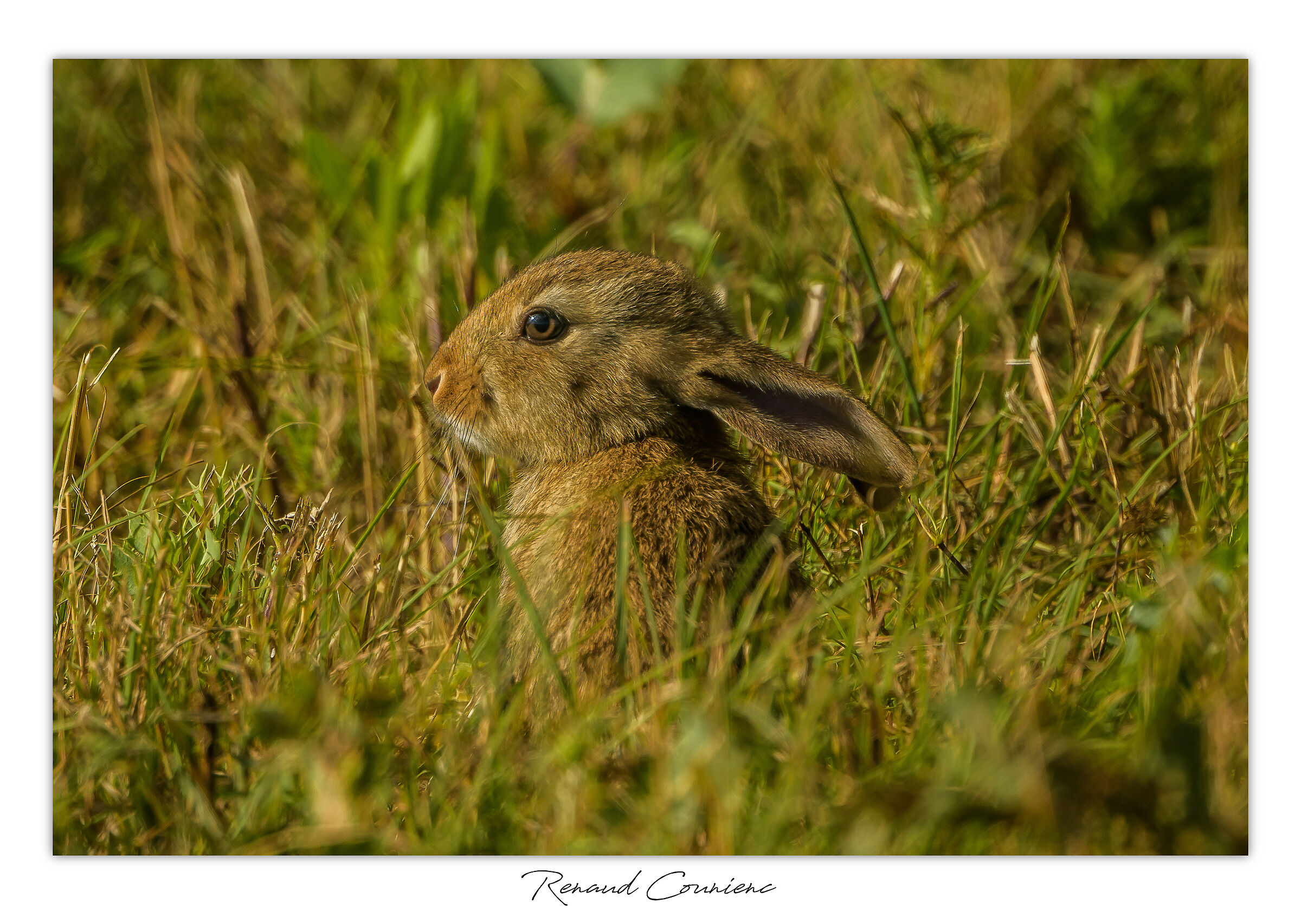 Alcuni grammi d'amore
