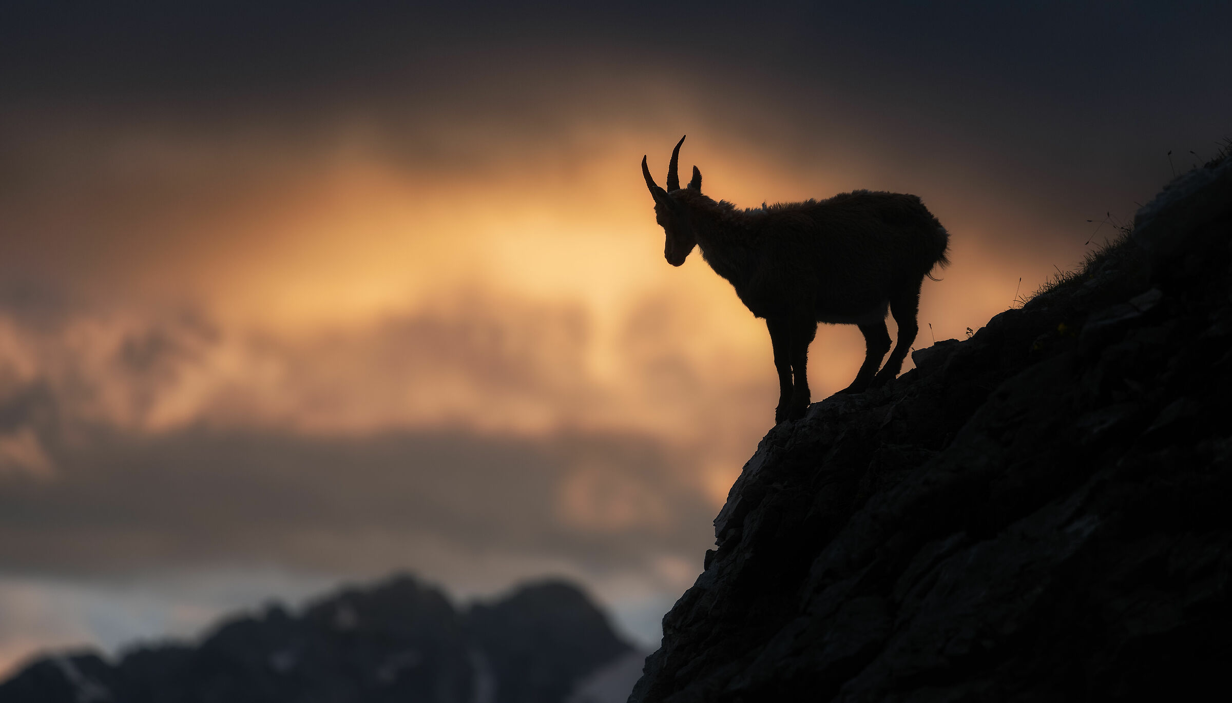 Another shot from that evening