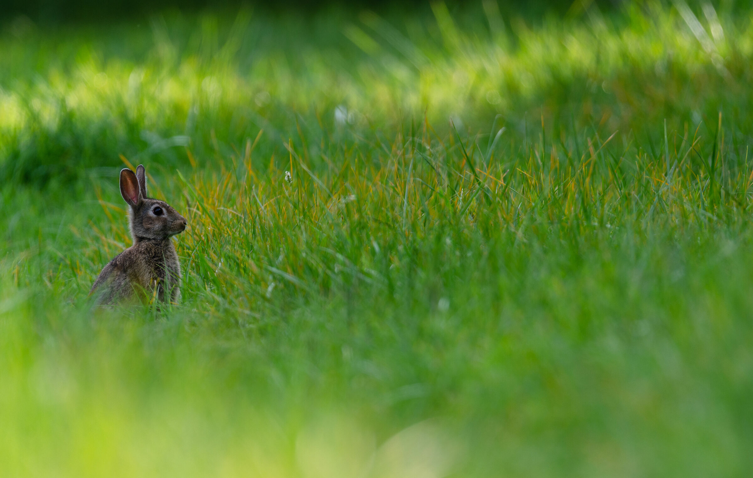 In allerta ma non troppo