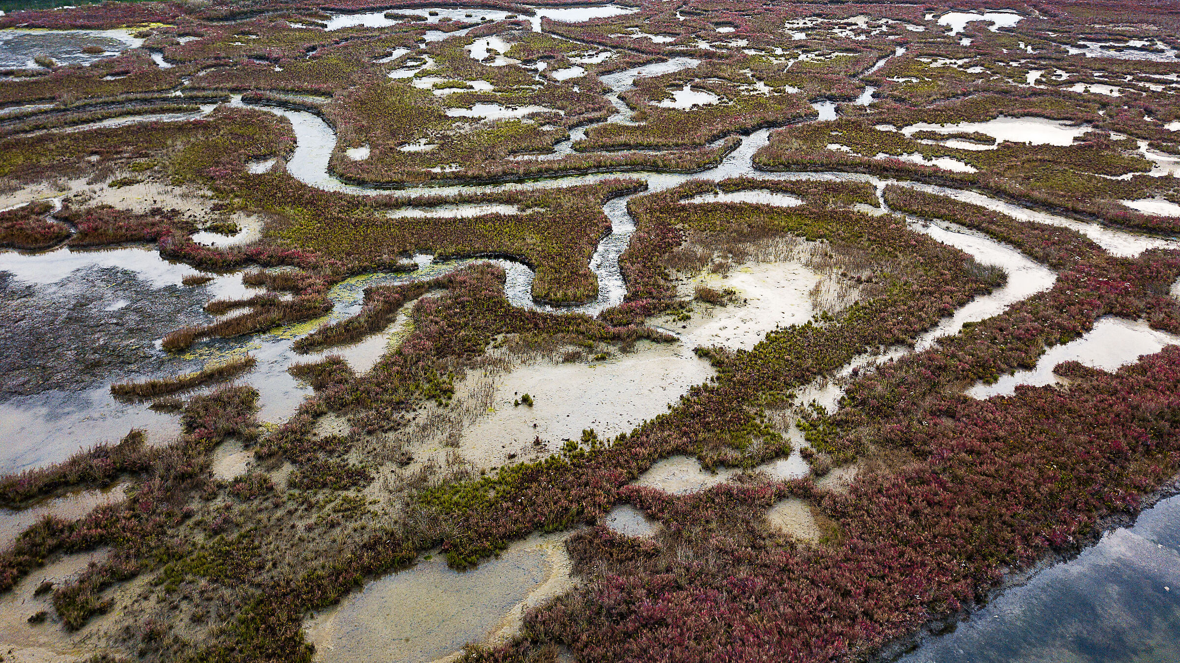 Barena di Venezia dall'alto