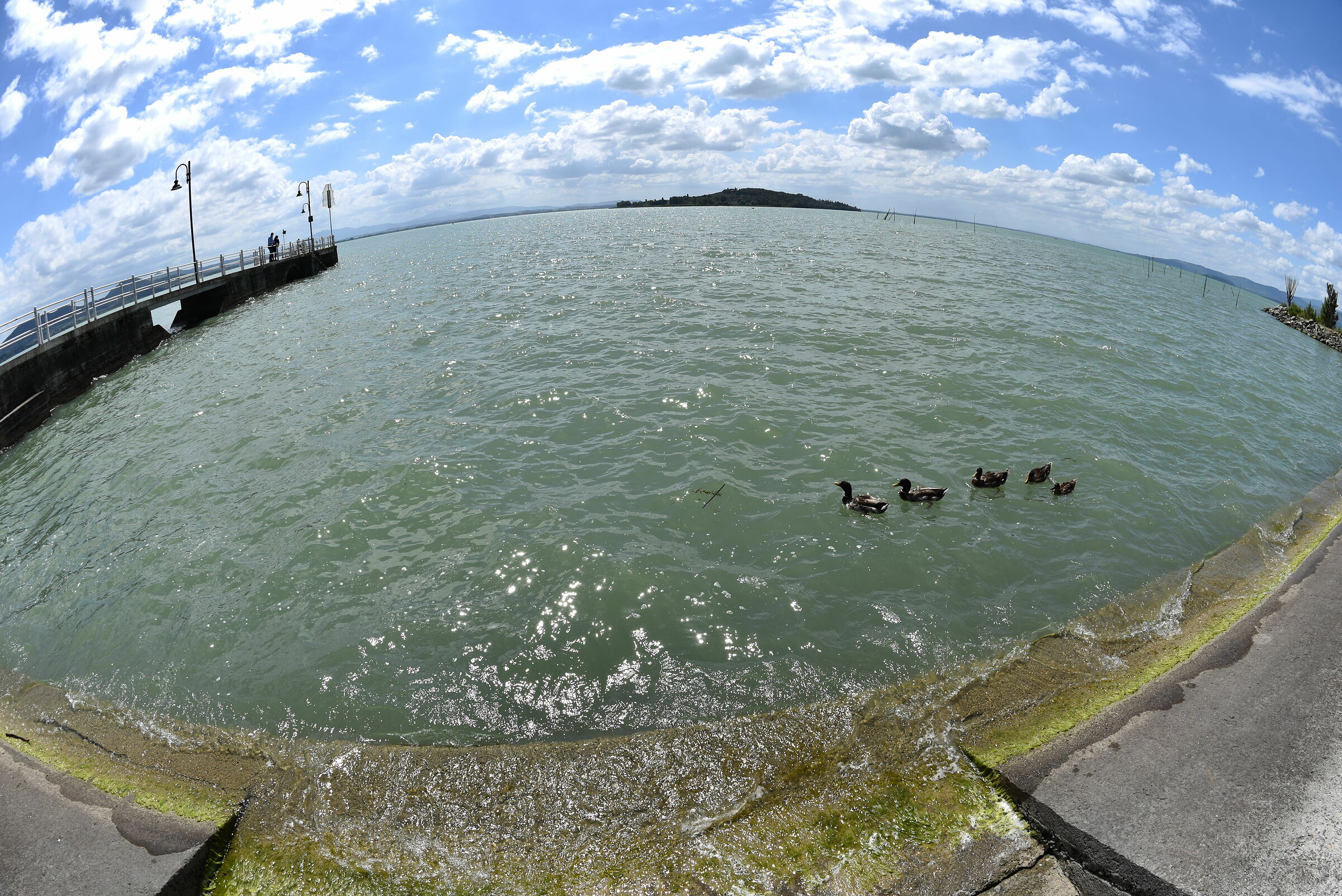 Protési nel lago (Umbria, Trasimeno)