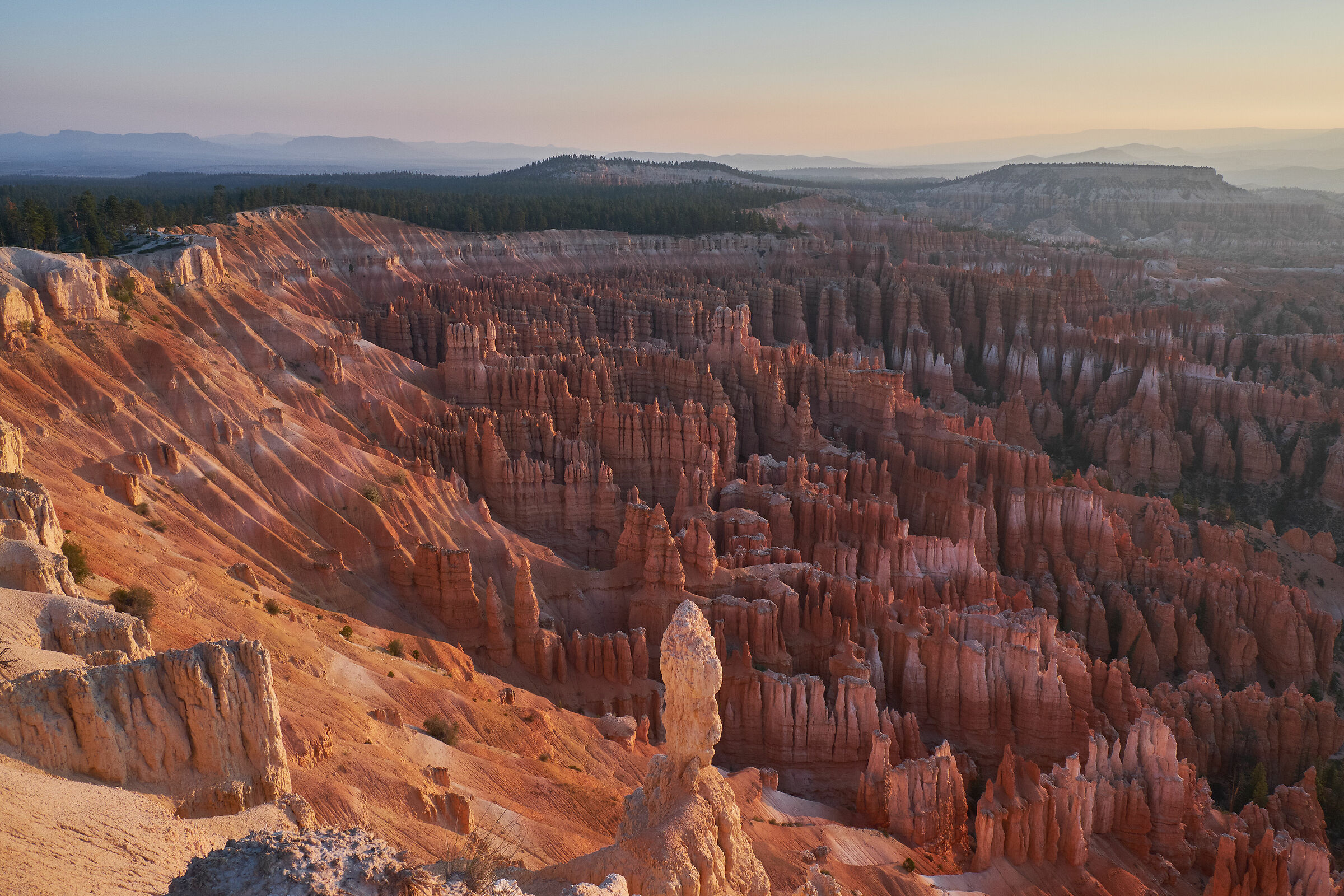 Bryce Canyon all'alba