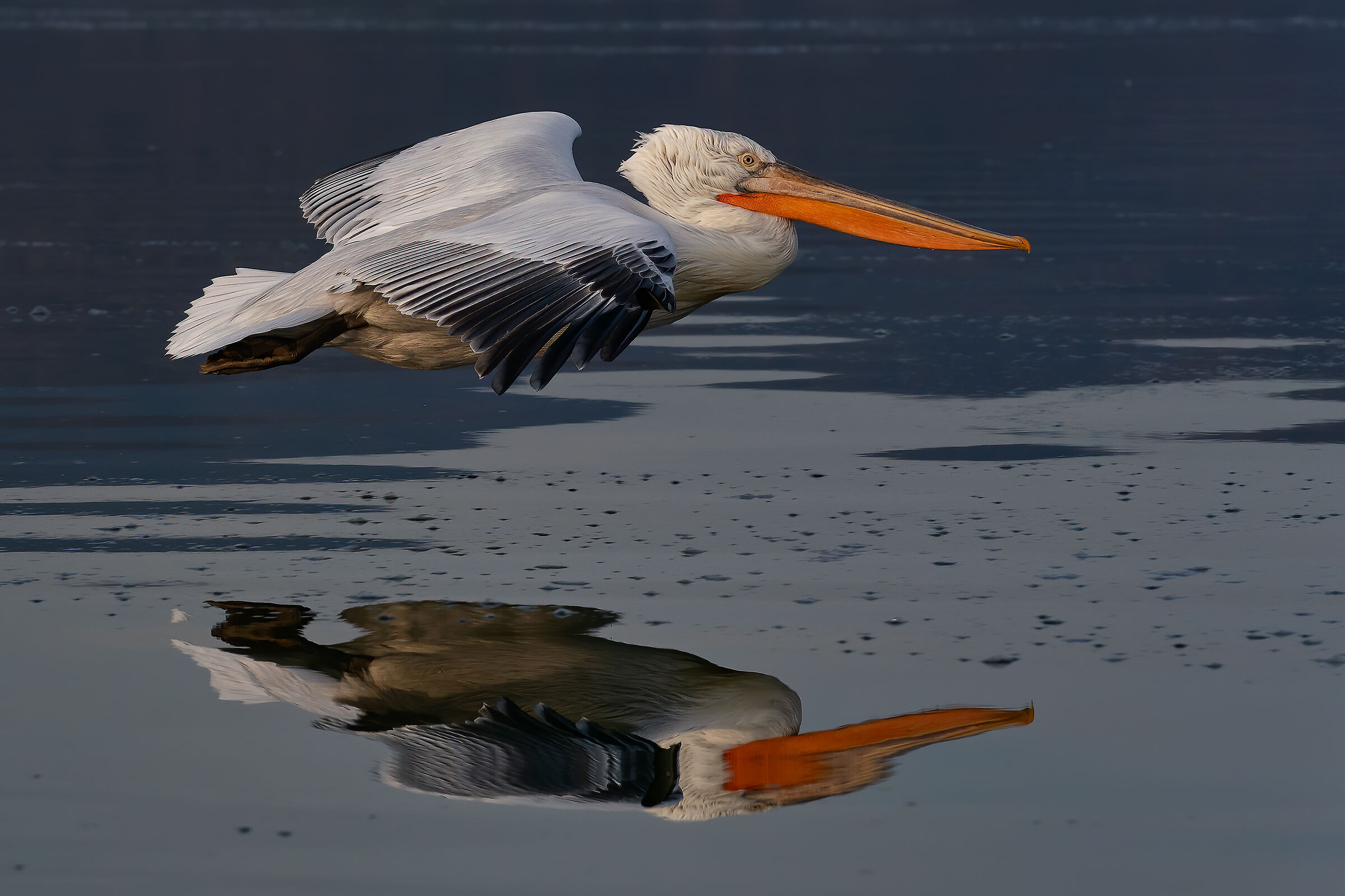 Flight to the Mirror