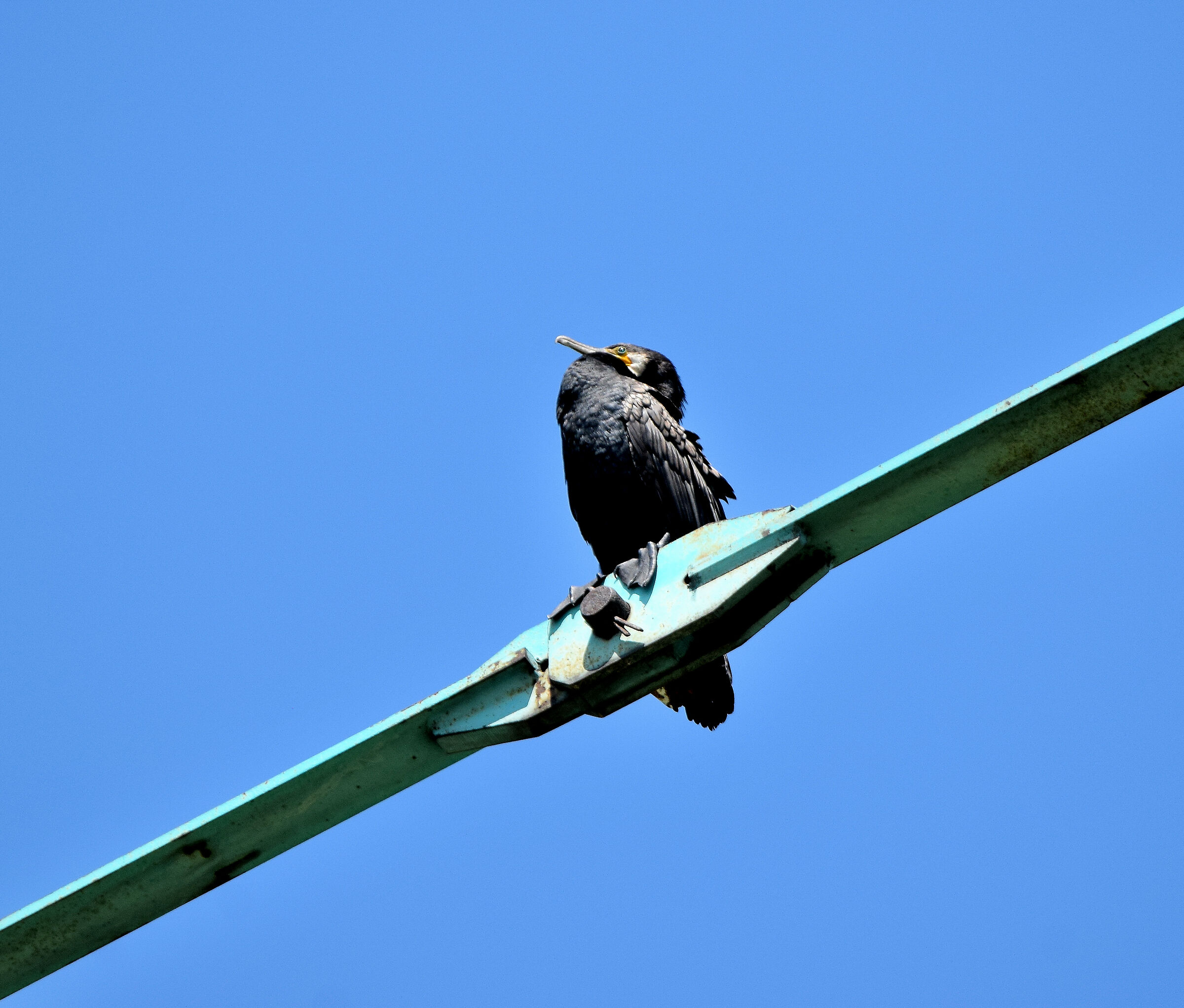 That weird twinkle of the eyes