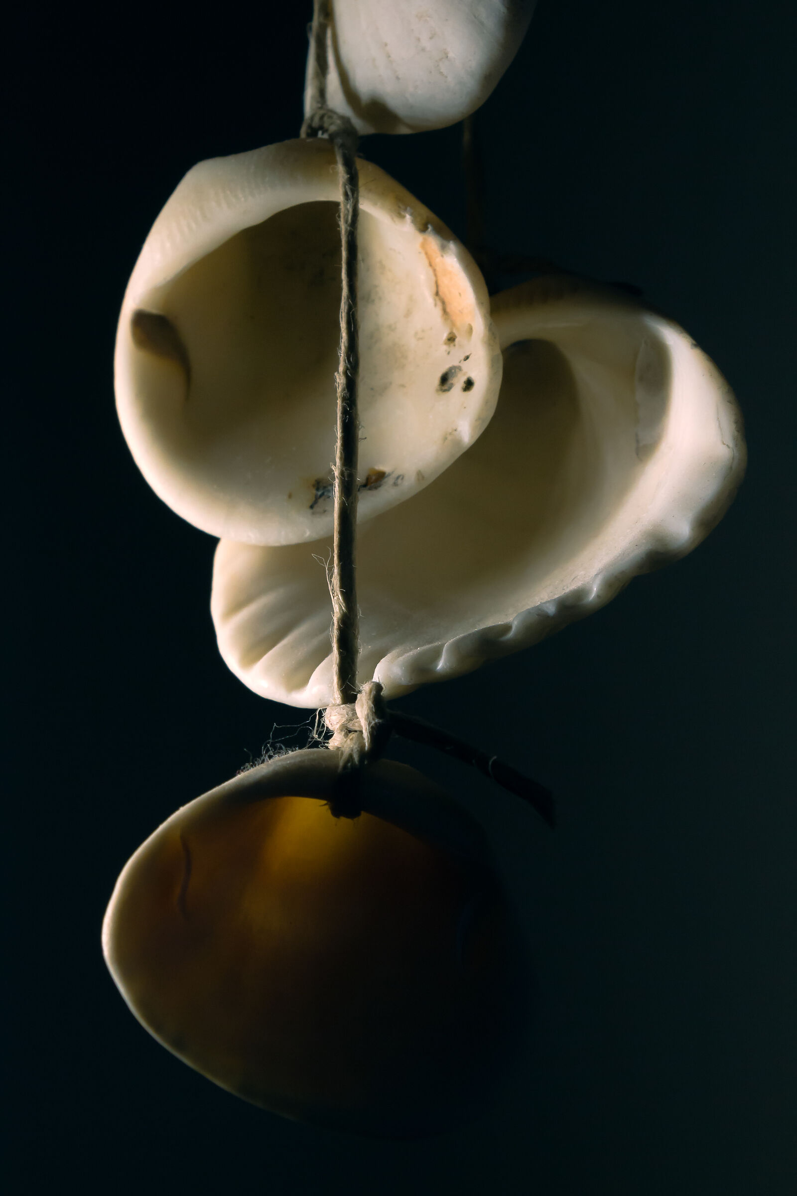 Shells and light games