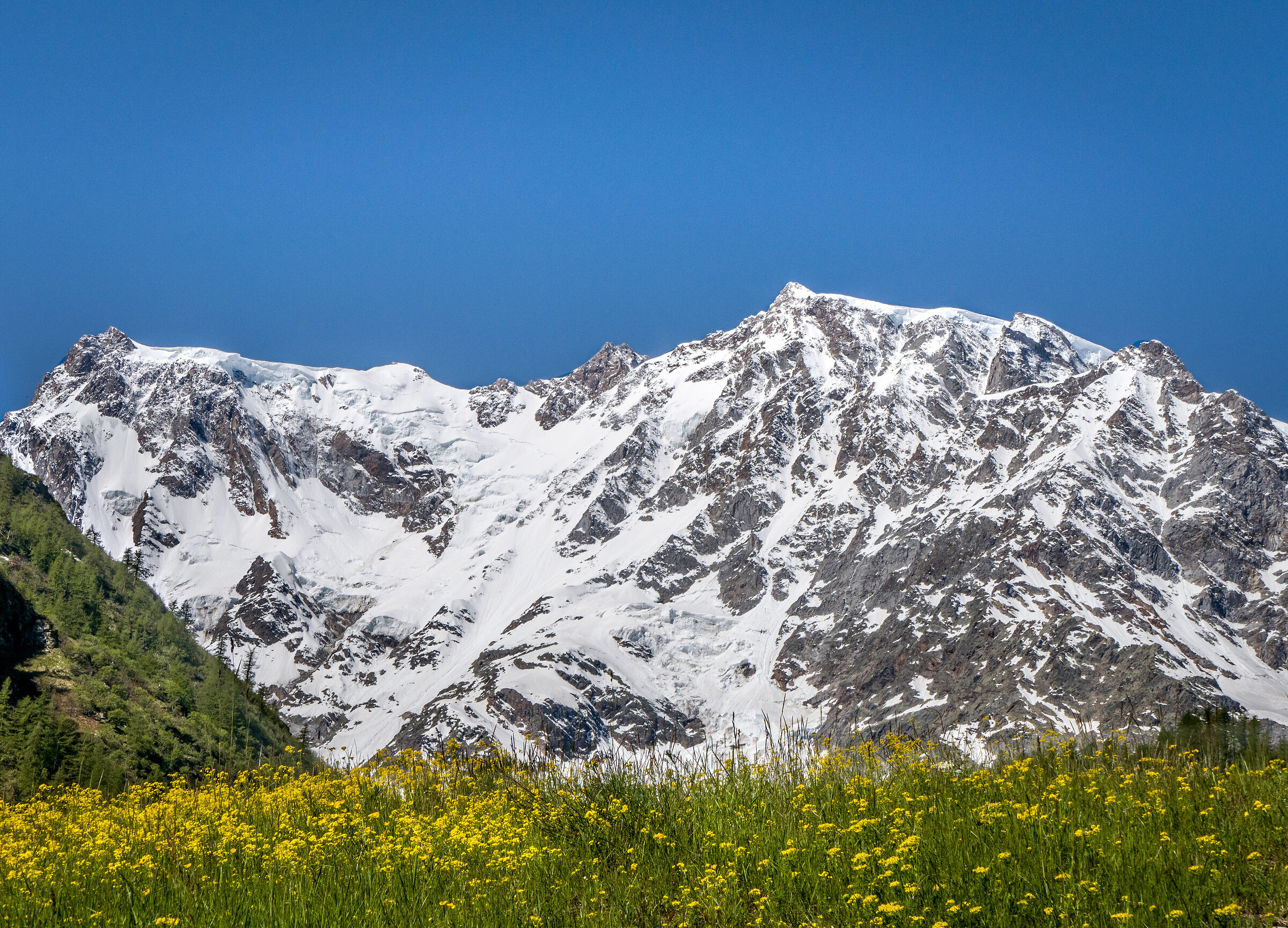 Monte Rosa - Parete est