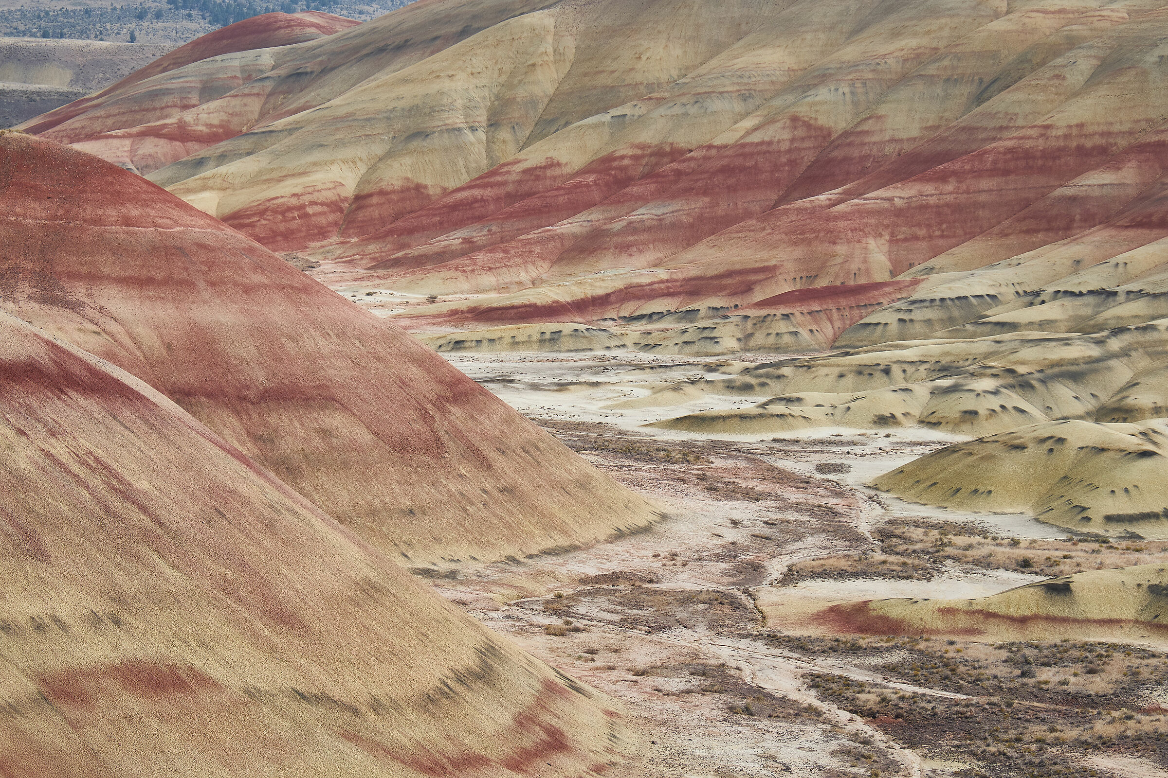 painted hills, primo piano