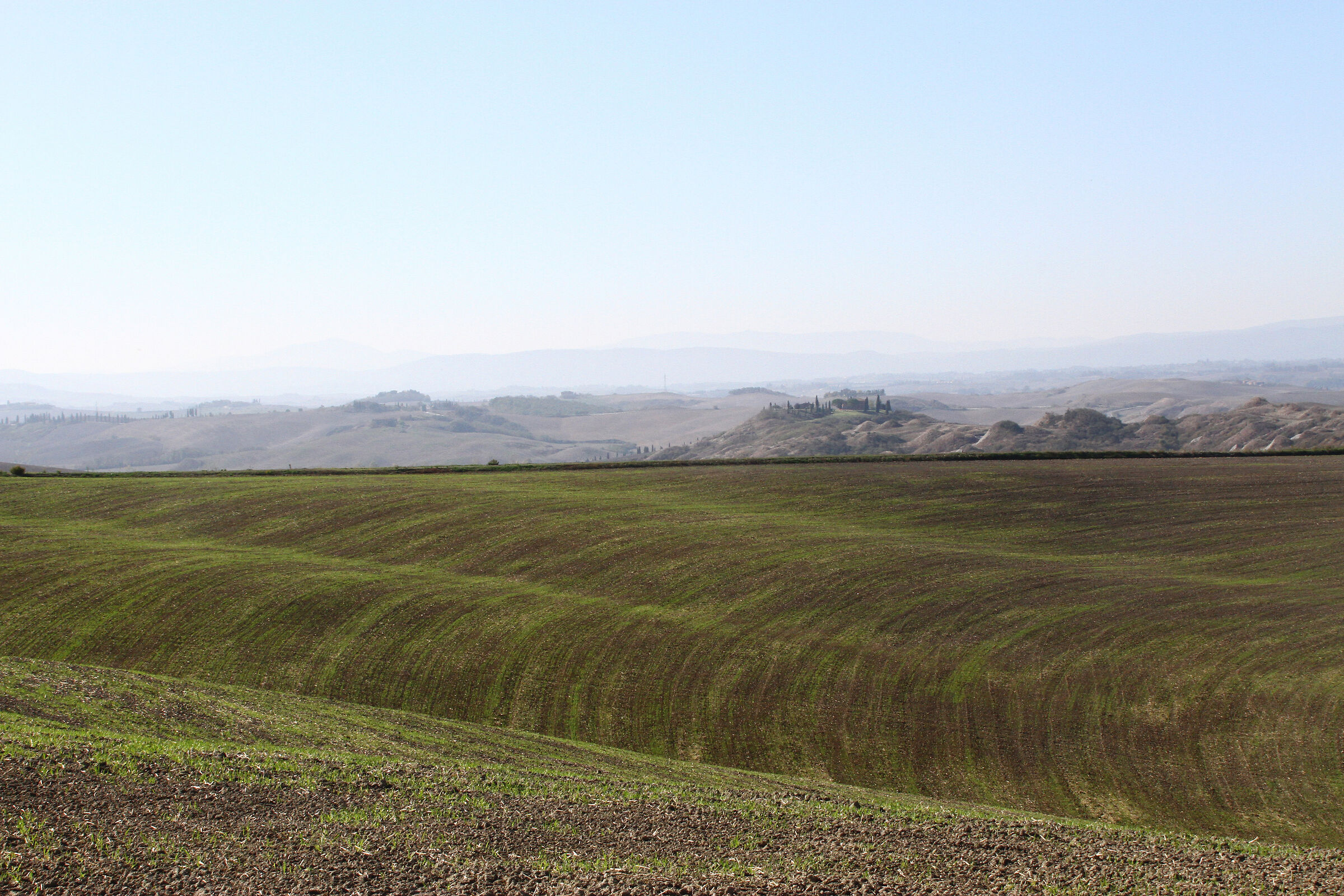Asciano (Siena) Crete senesi