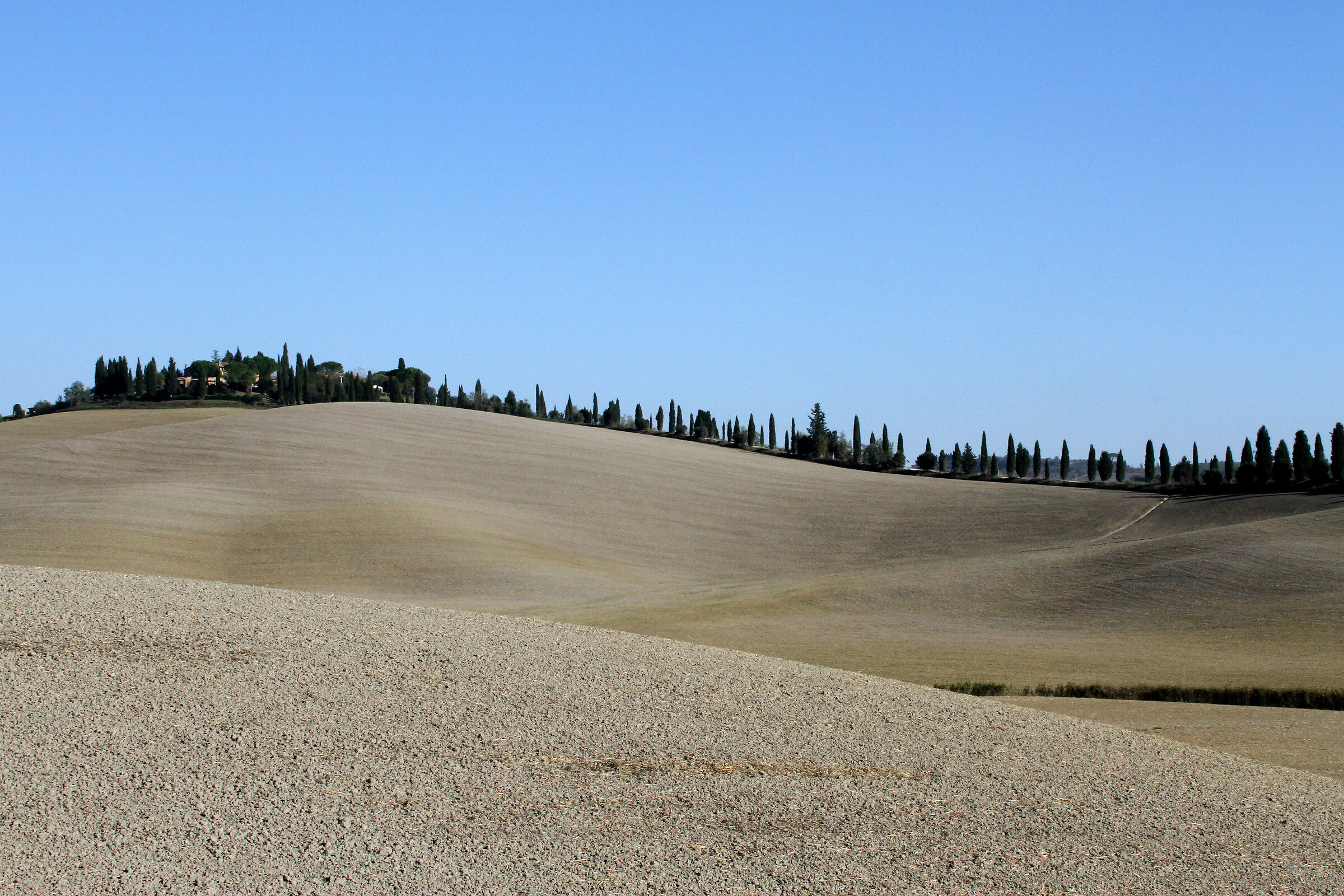 Asciano (Siena) Crete senesi