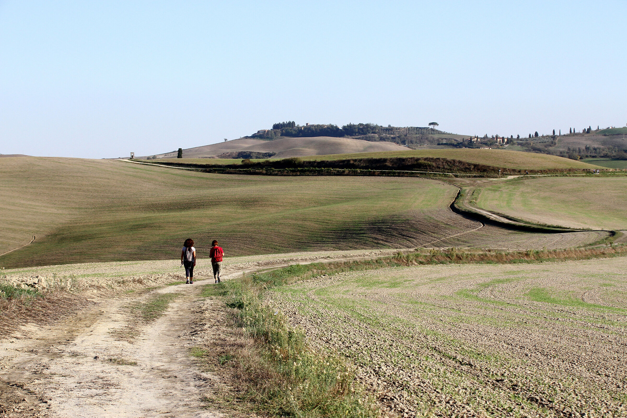 Asciano (Siena) Crete senesi