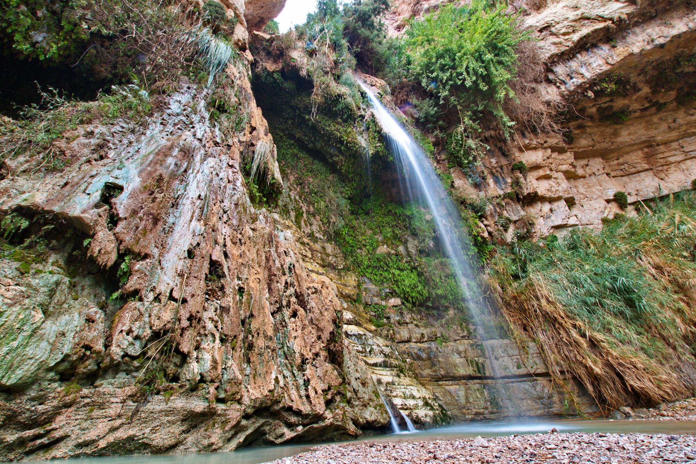 Oasis by Ein Gedi