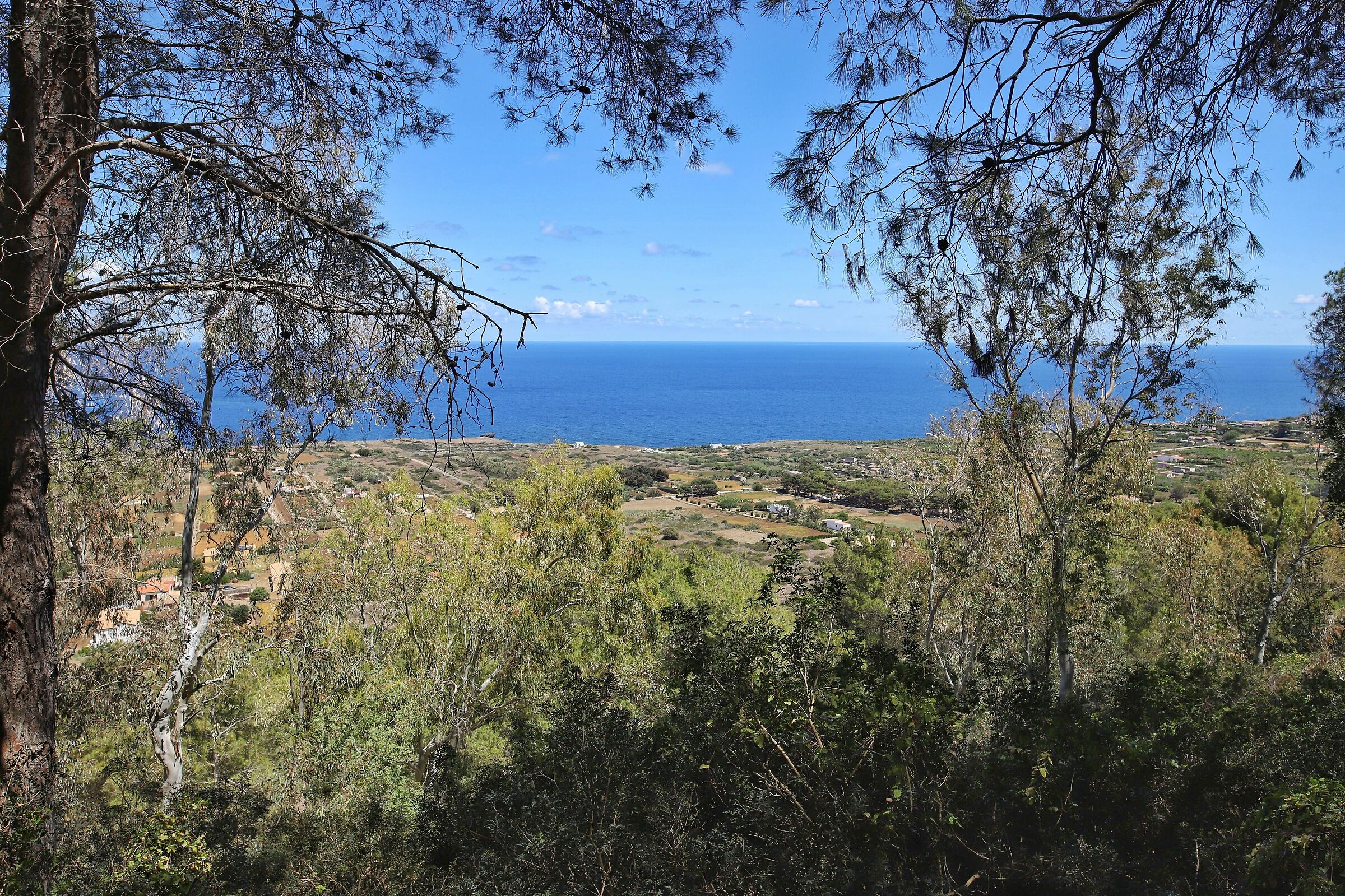Ustica34