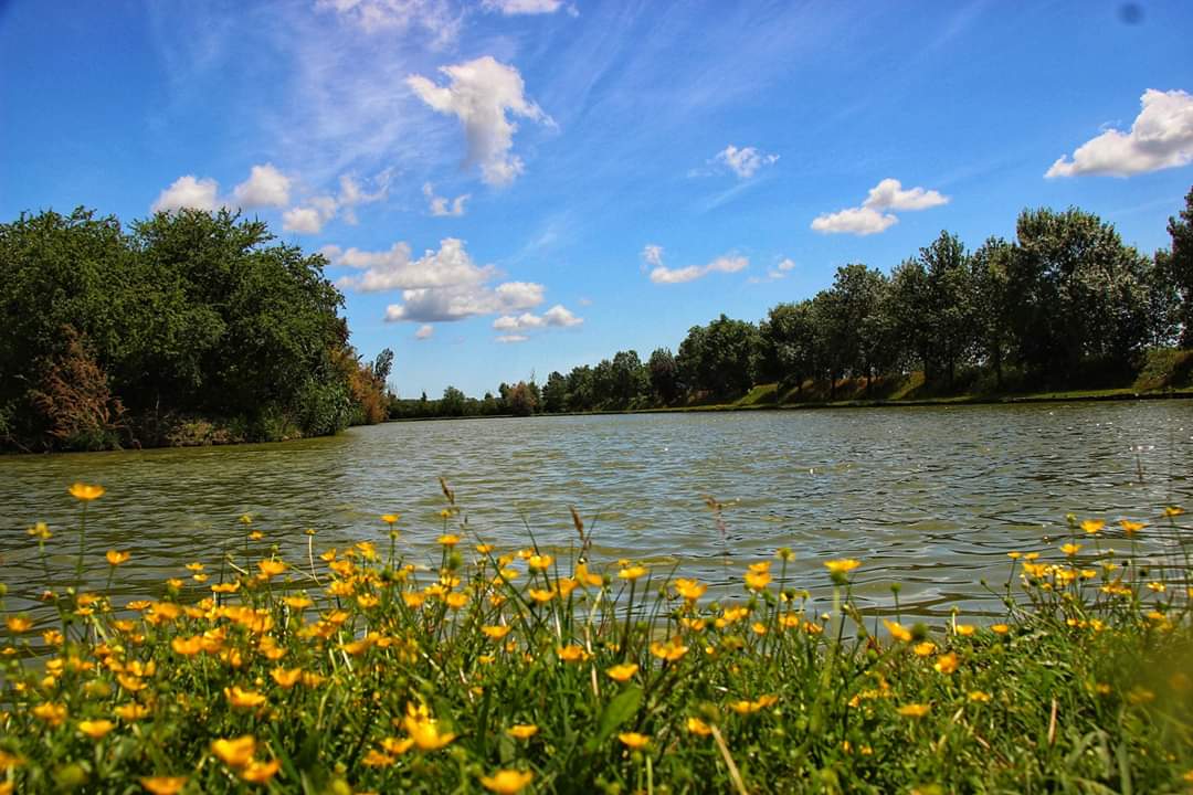Laghi Molinella