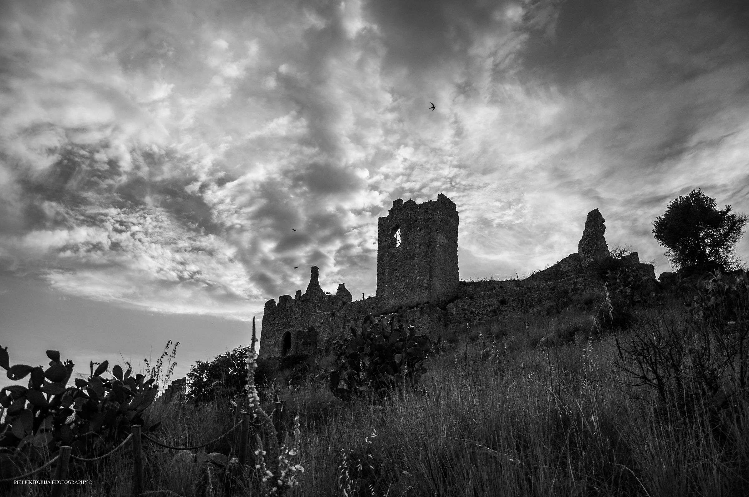 I resti del castello (xviii sec.) Cirella. Italia