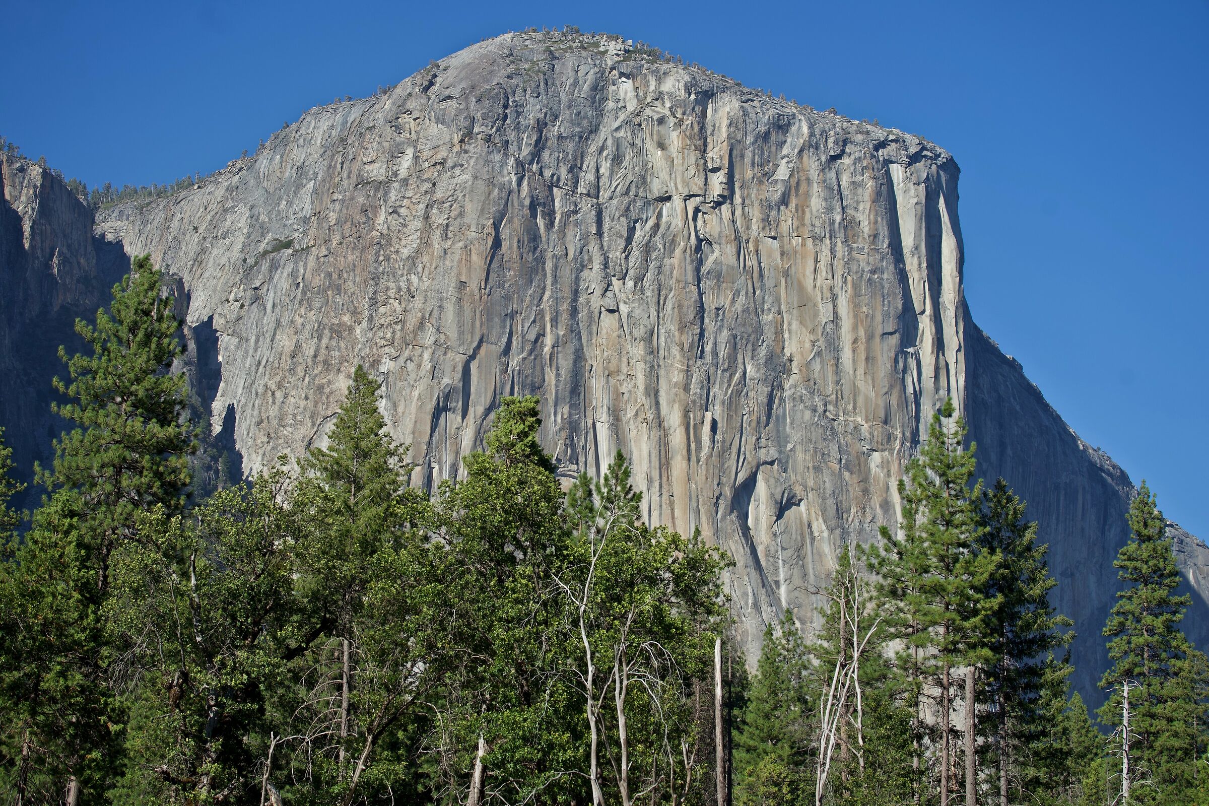 El Capitan