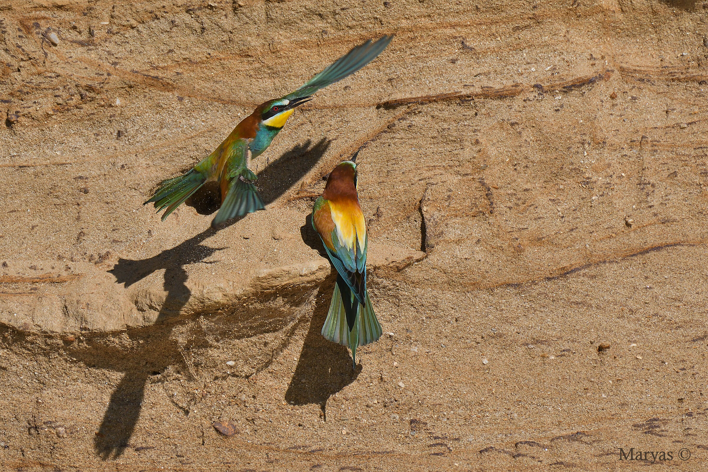 Questa casa è proprio un buco !