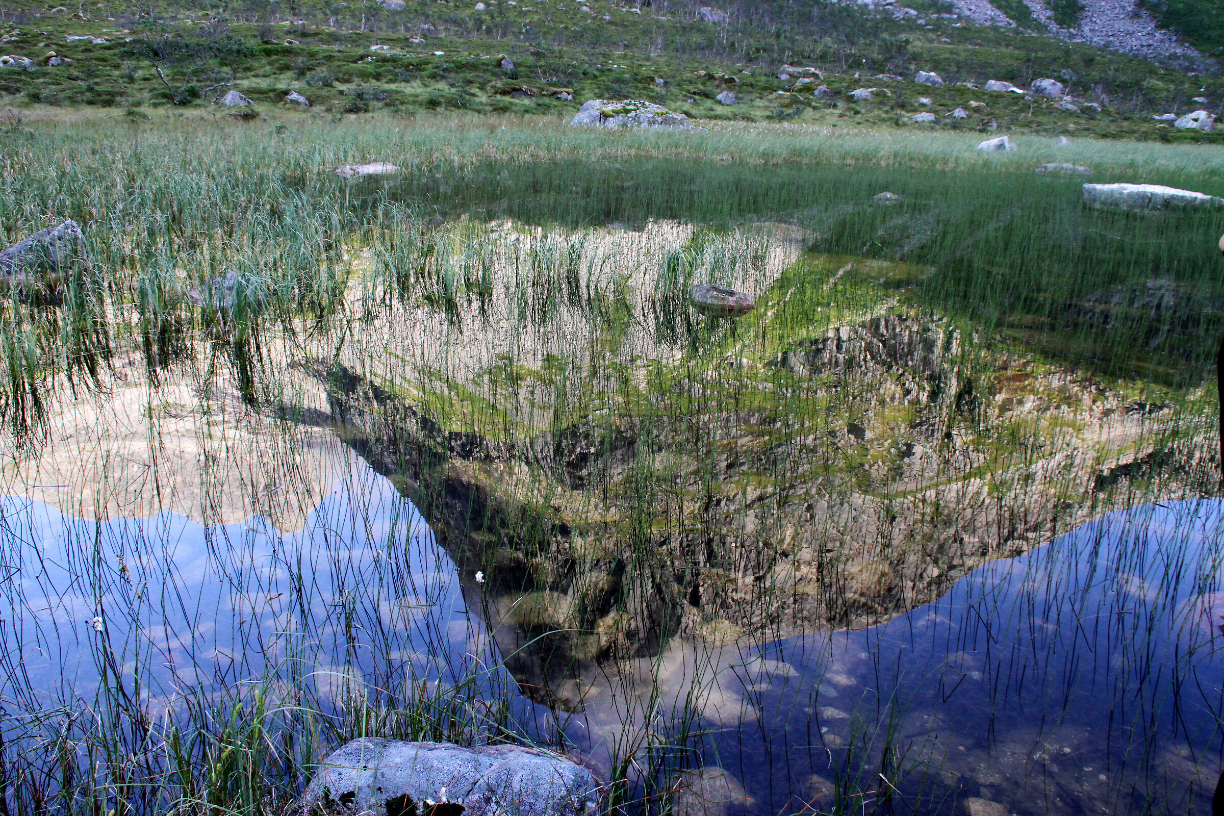 Paesaggio dalla strada Fv57 verso Tromvik (Norvegia)