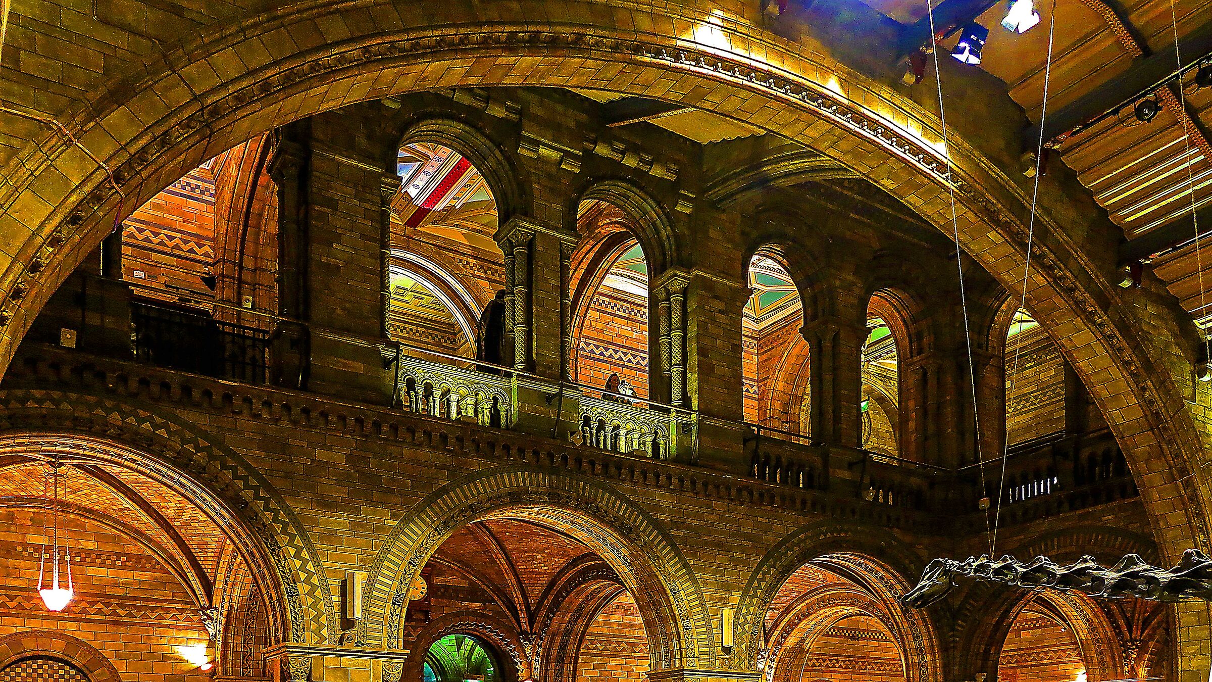 Museo di storia naturale - Londra