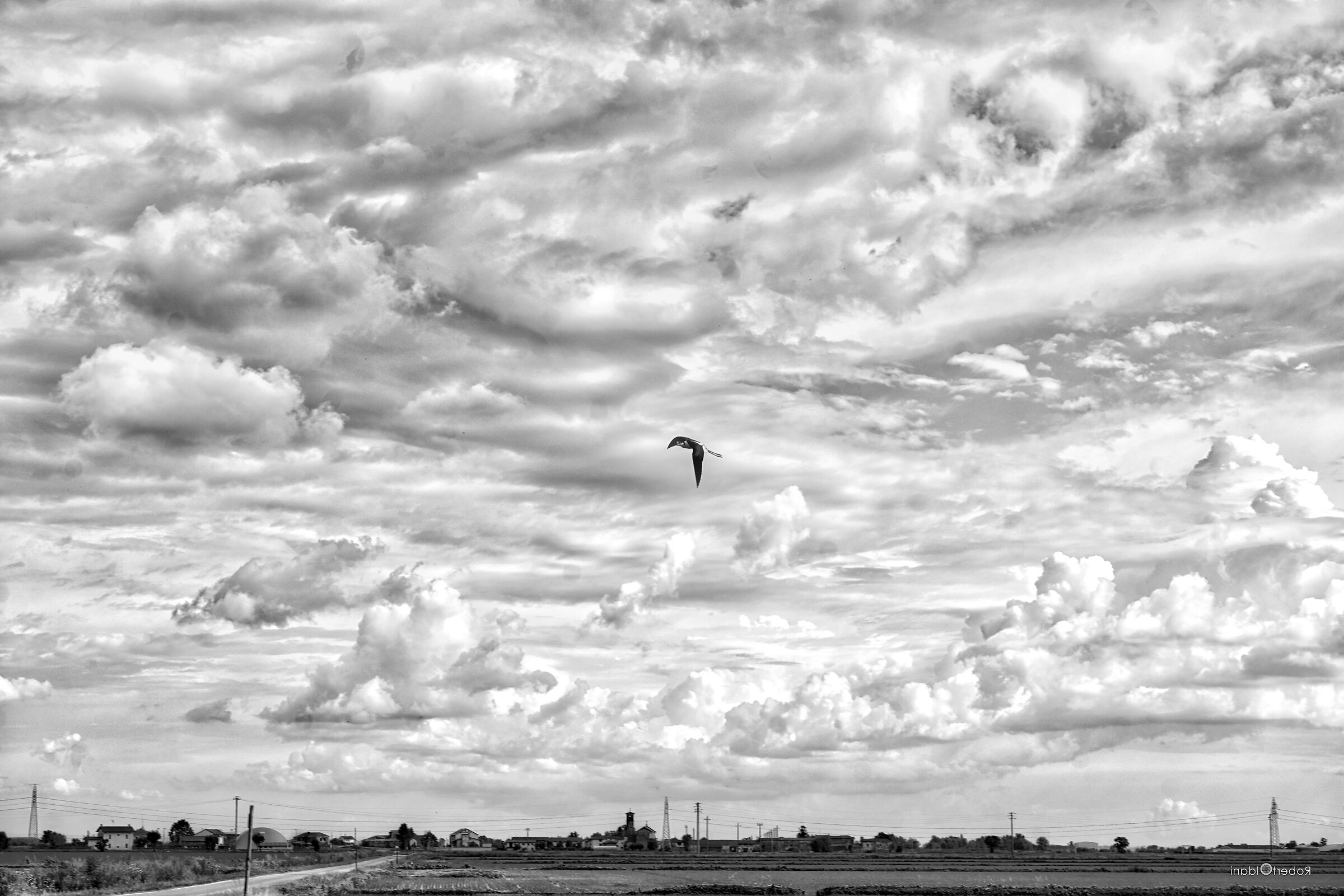 Untitled Photo