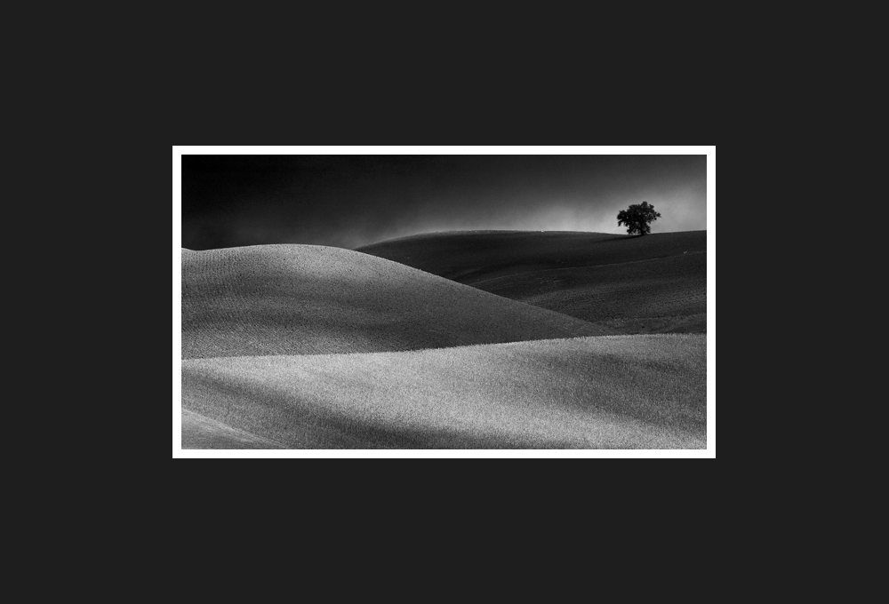 paesaggio silenzioso, 2010