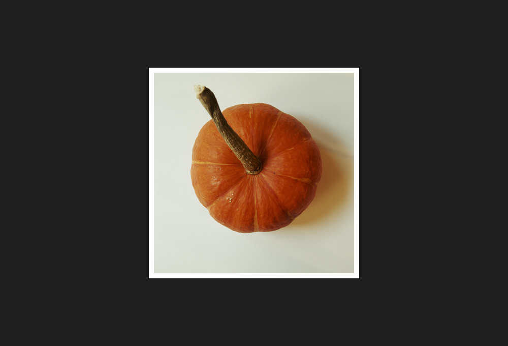 A Pumpkin, 2011