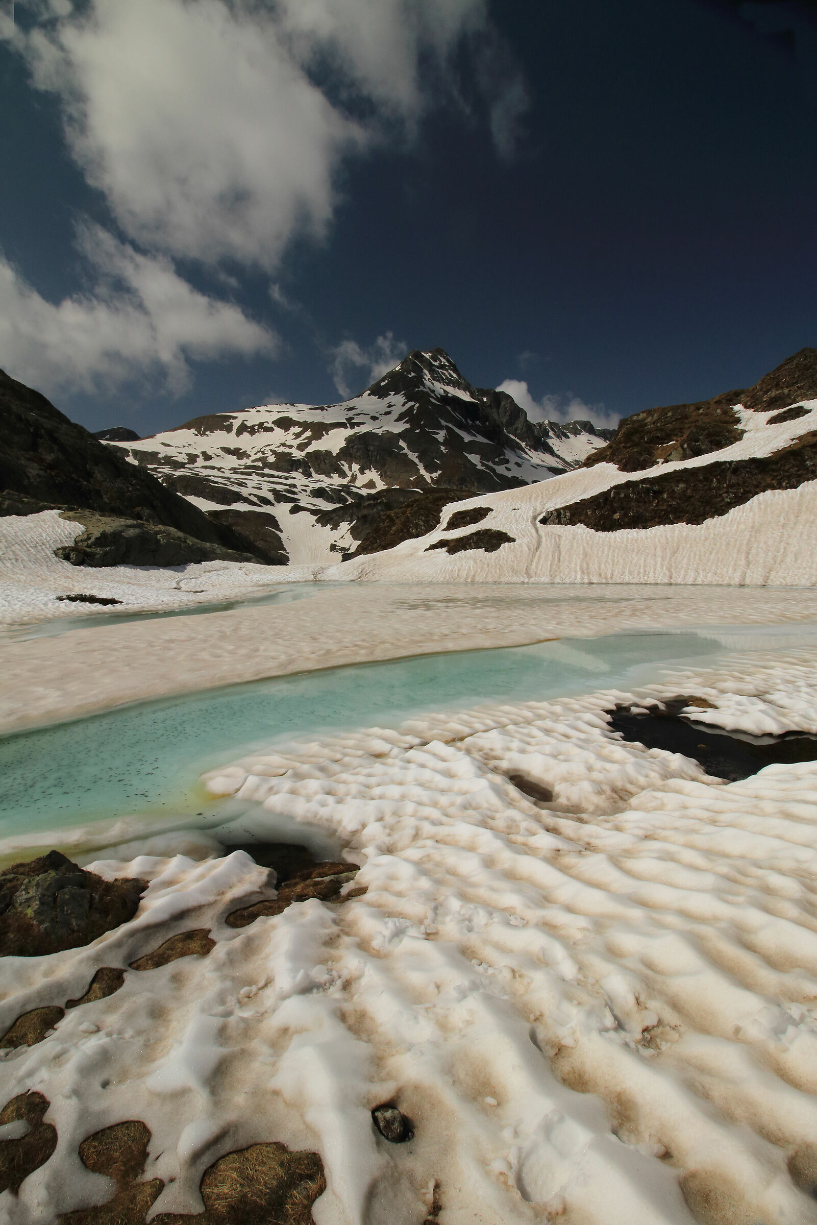 disgelo tardivo in montagna