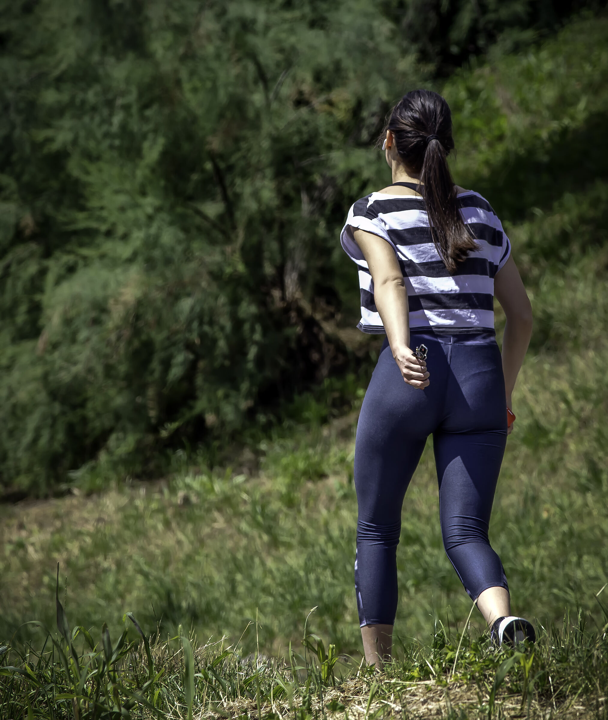 Passeggiata nelle erbe