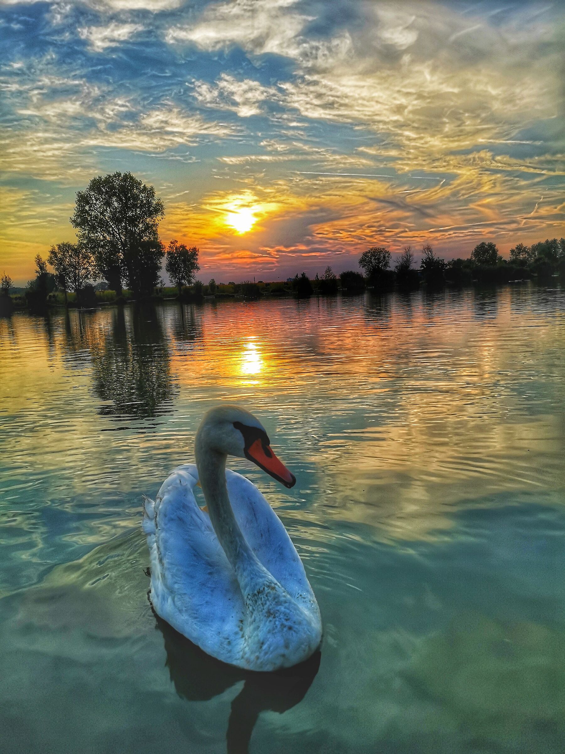 Eleganza allo stato puro