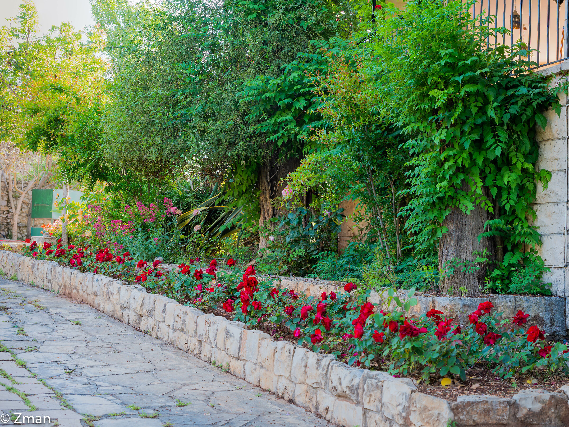 The Planters