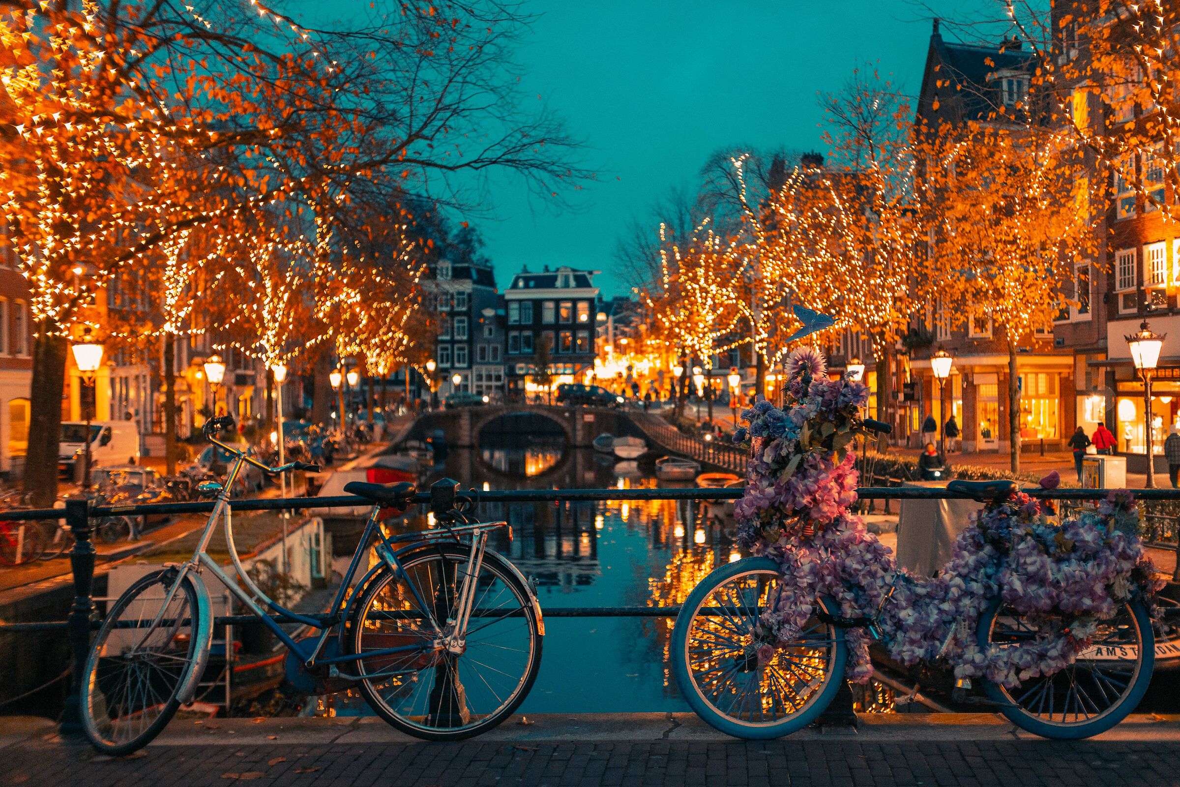 Bici