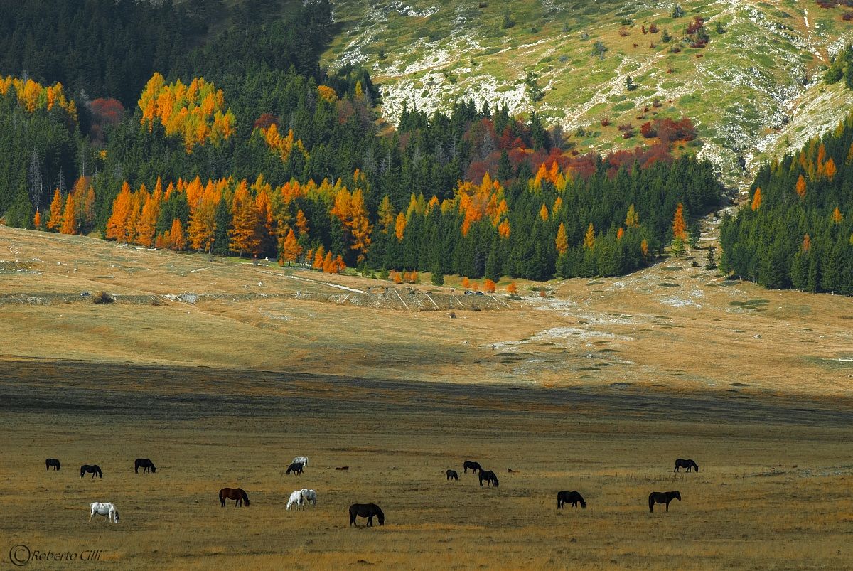 Campo Imperatore