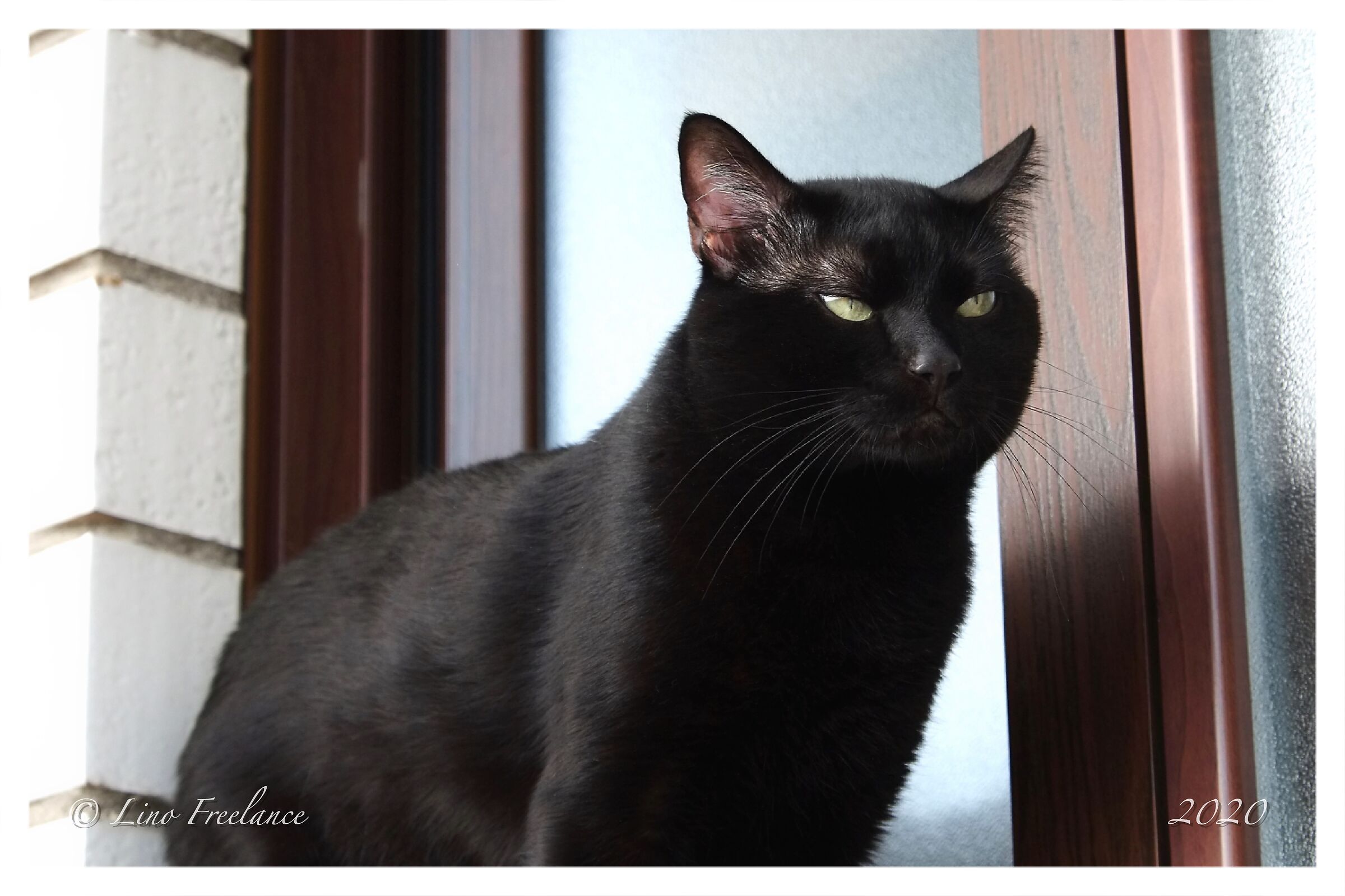 Passerotti all'orizzonte...