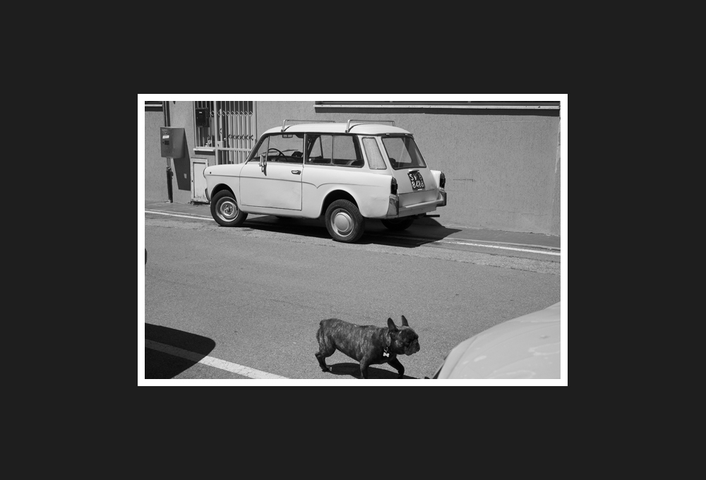 autobianchi bianchina con bulldog francese, 2016