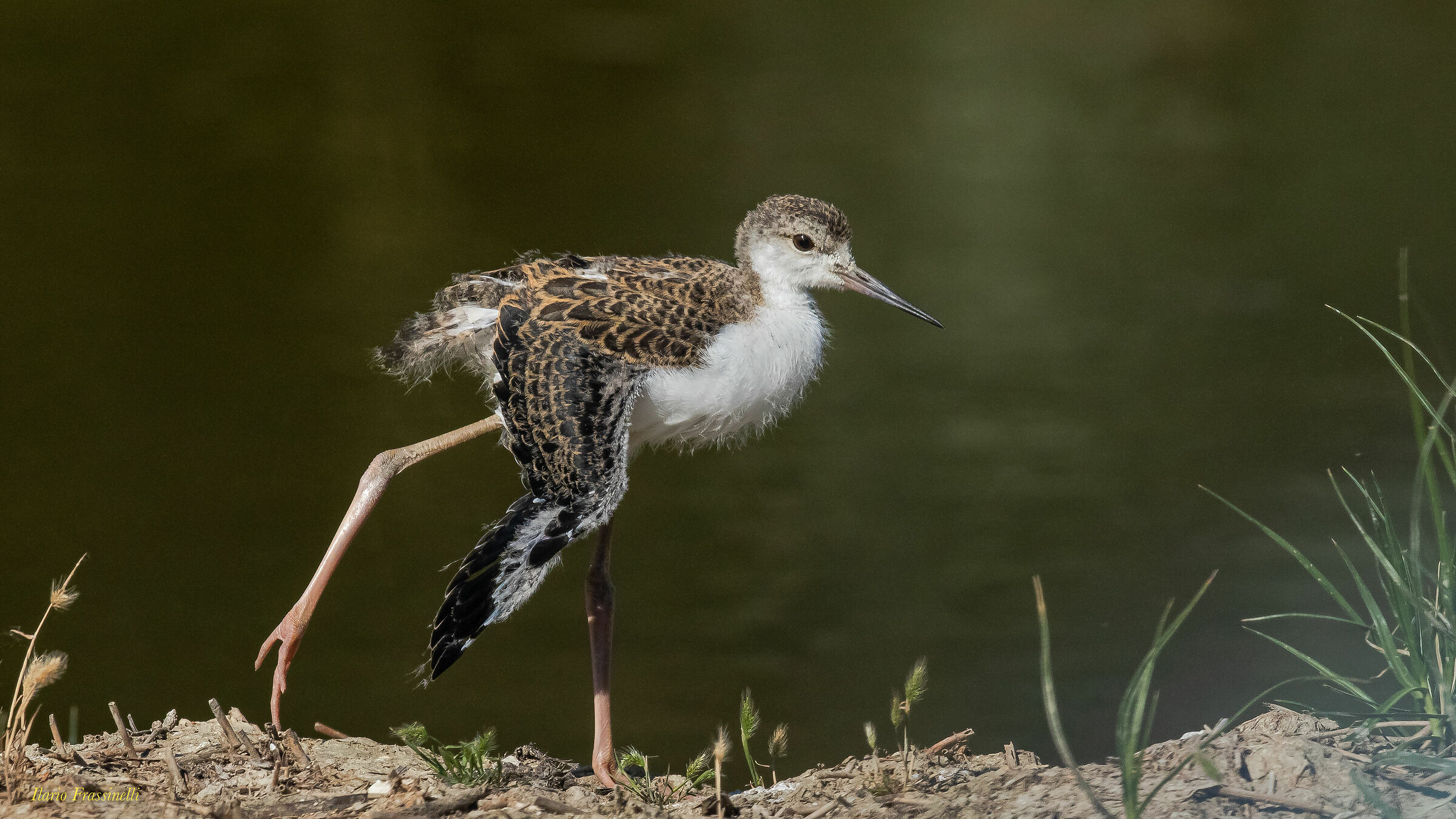 Young but already vain