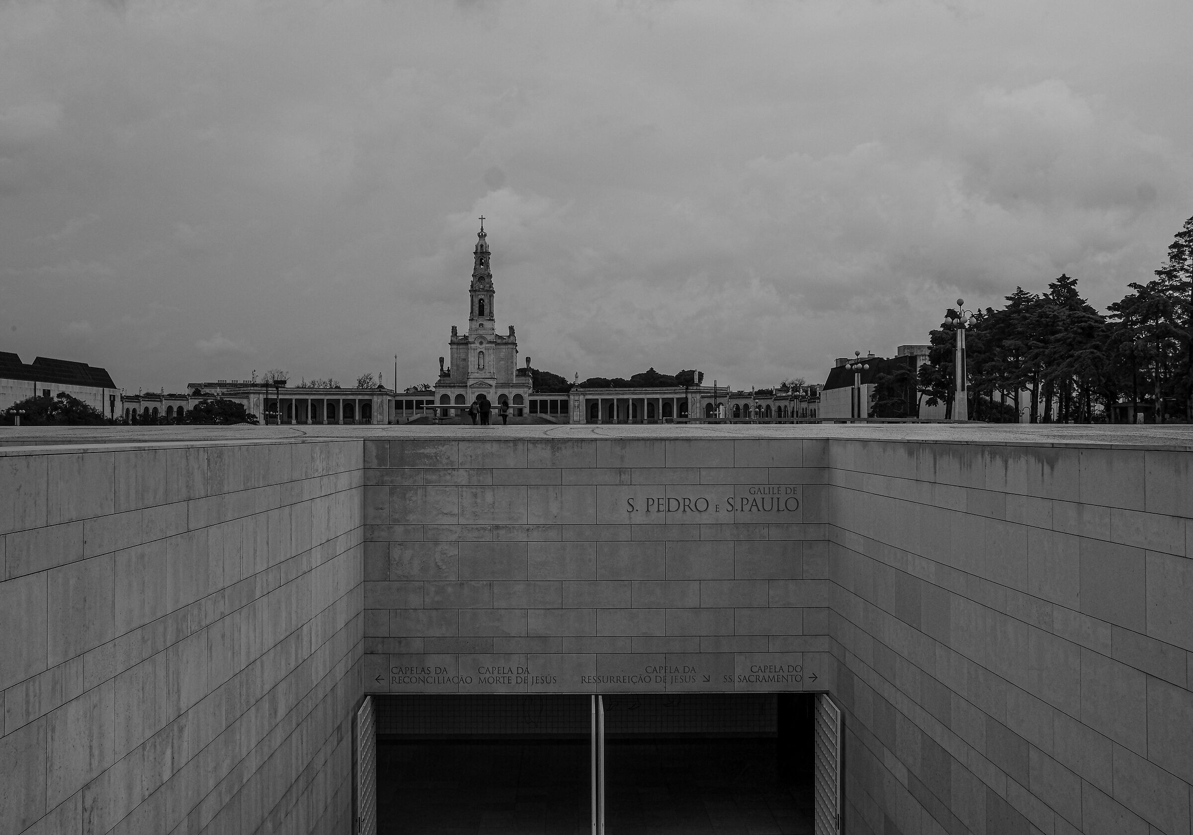 Untitled Photo