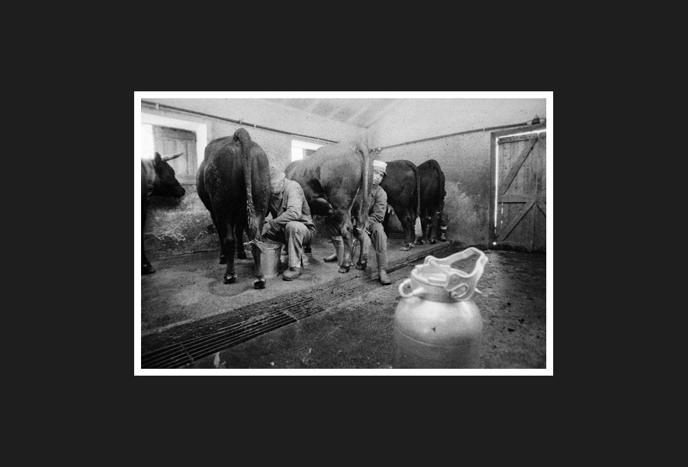 fare la fontina, 1998