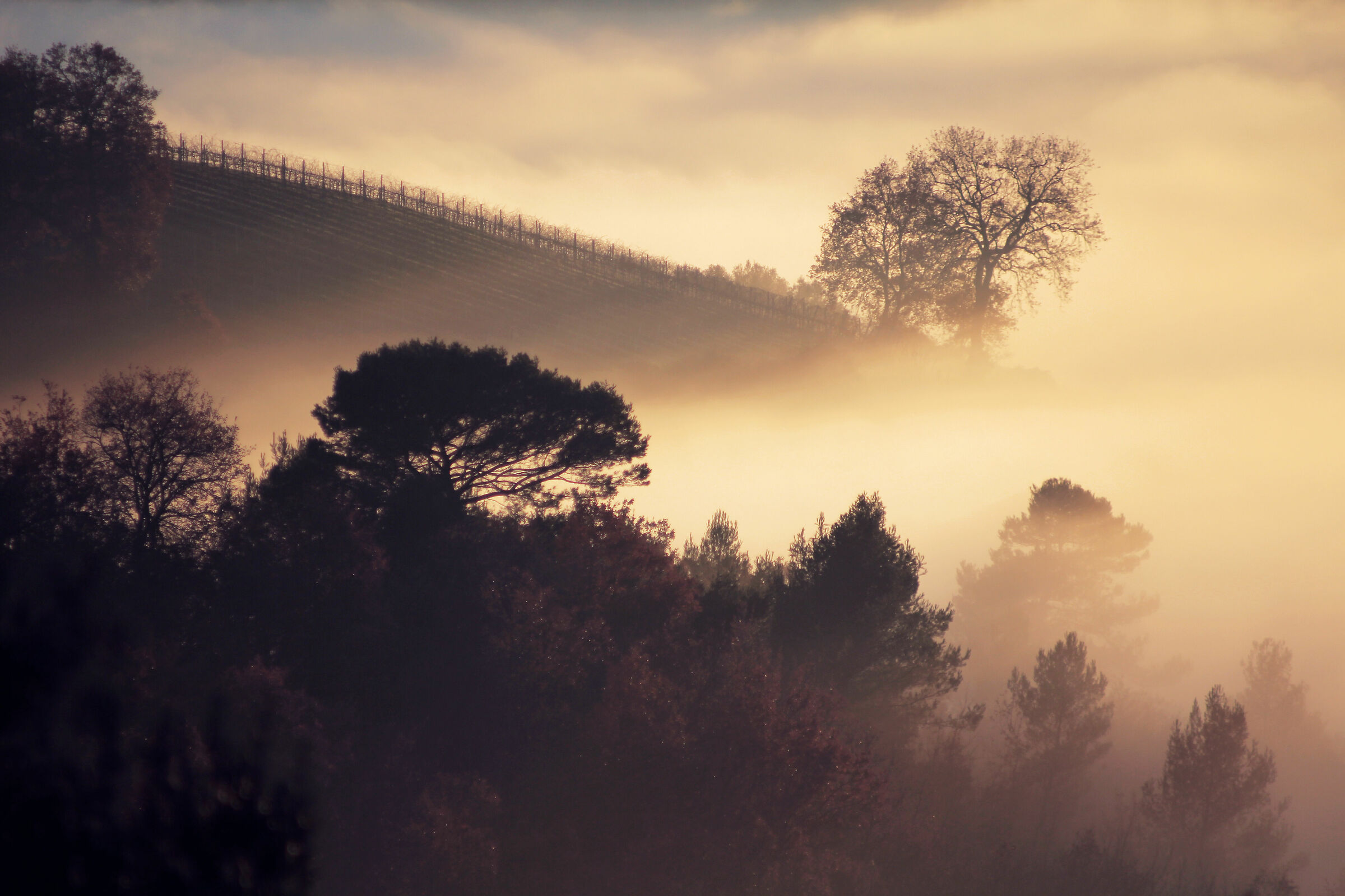 Nebbia, Perugia, Umbria