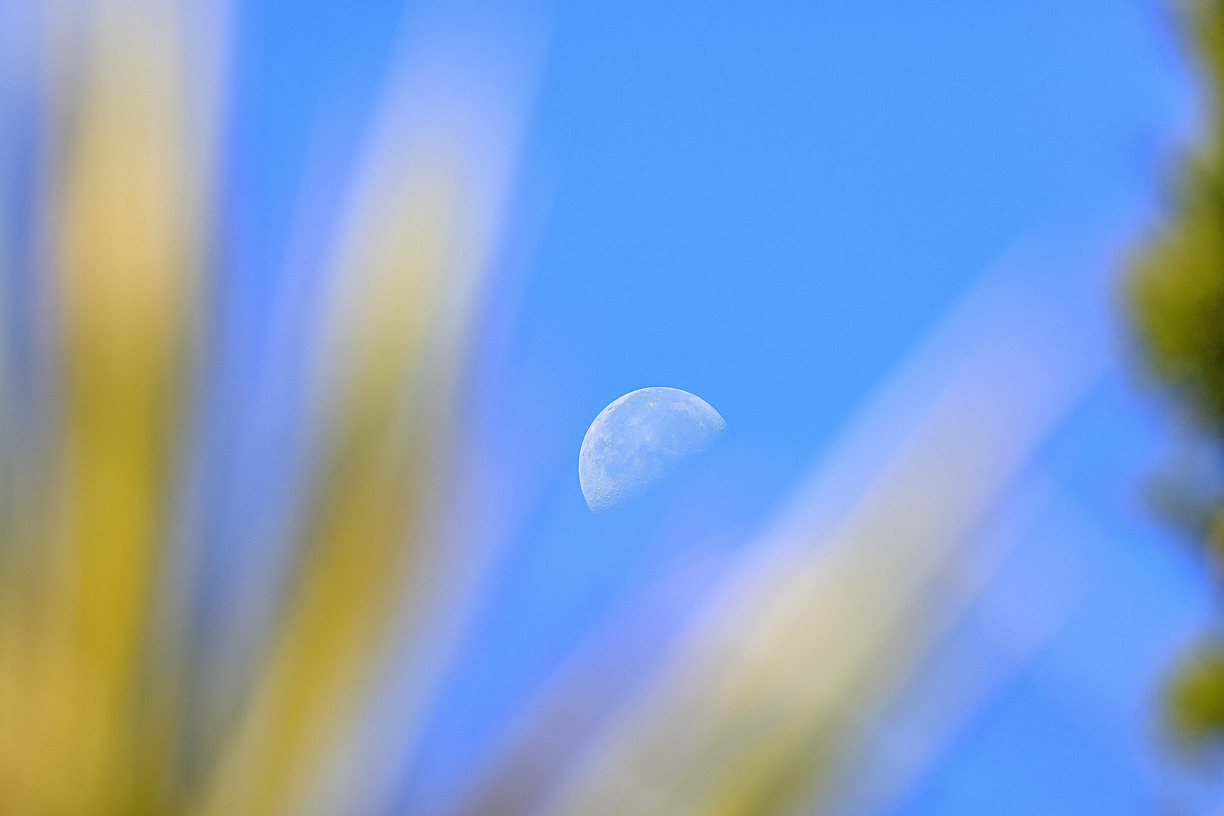 Untitled Photo